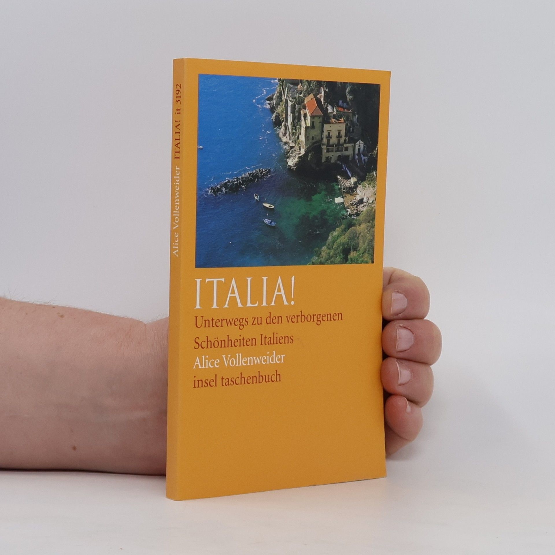 Alice Vollenweider Italia!