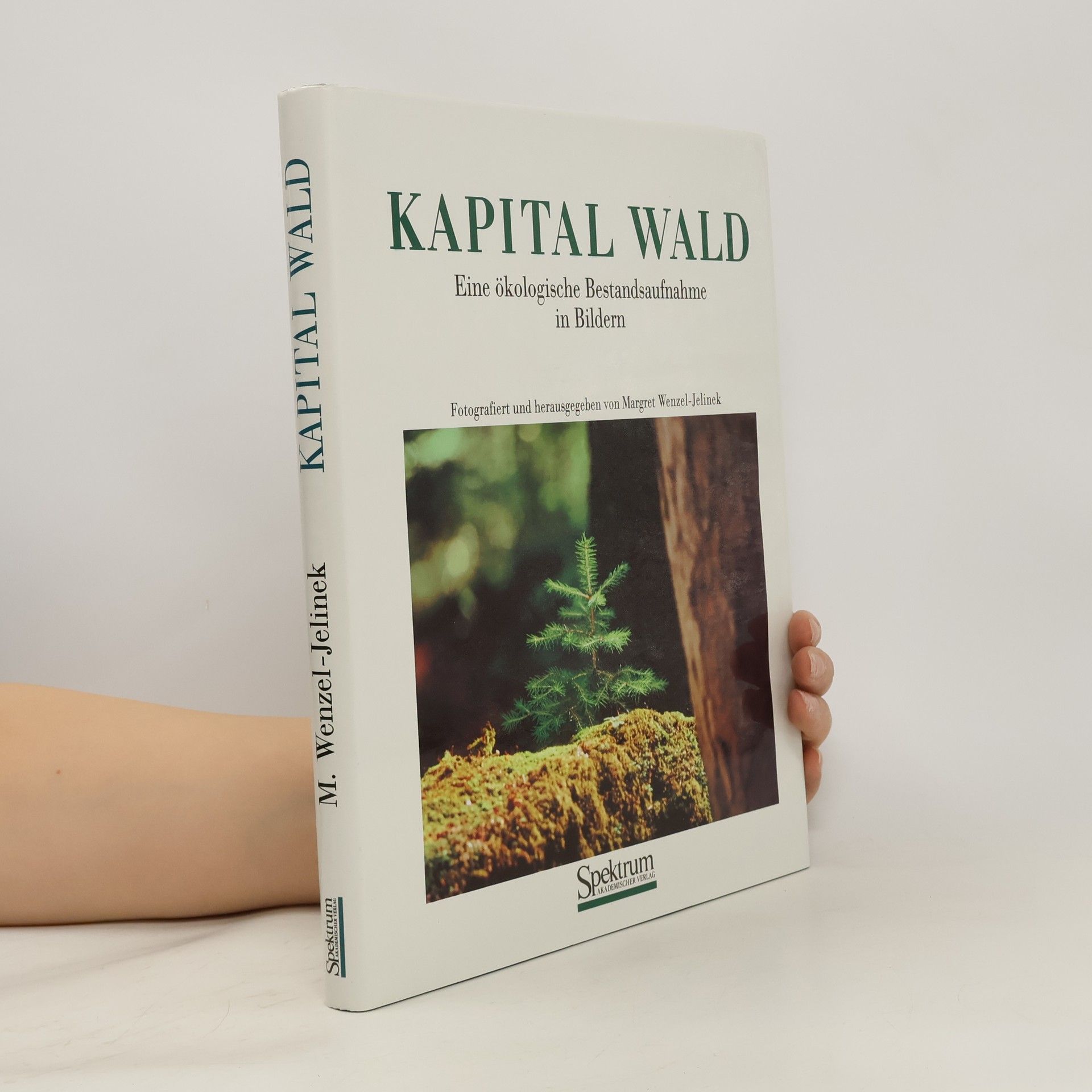 Margret Wenzel-Jelinek Kapital Wald