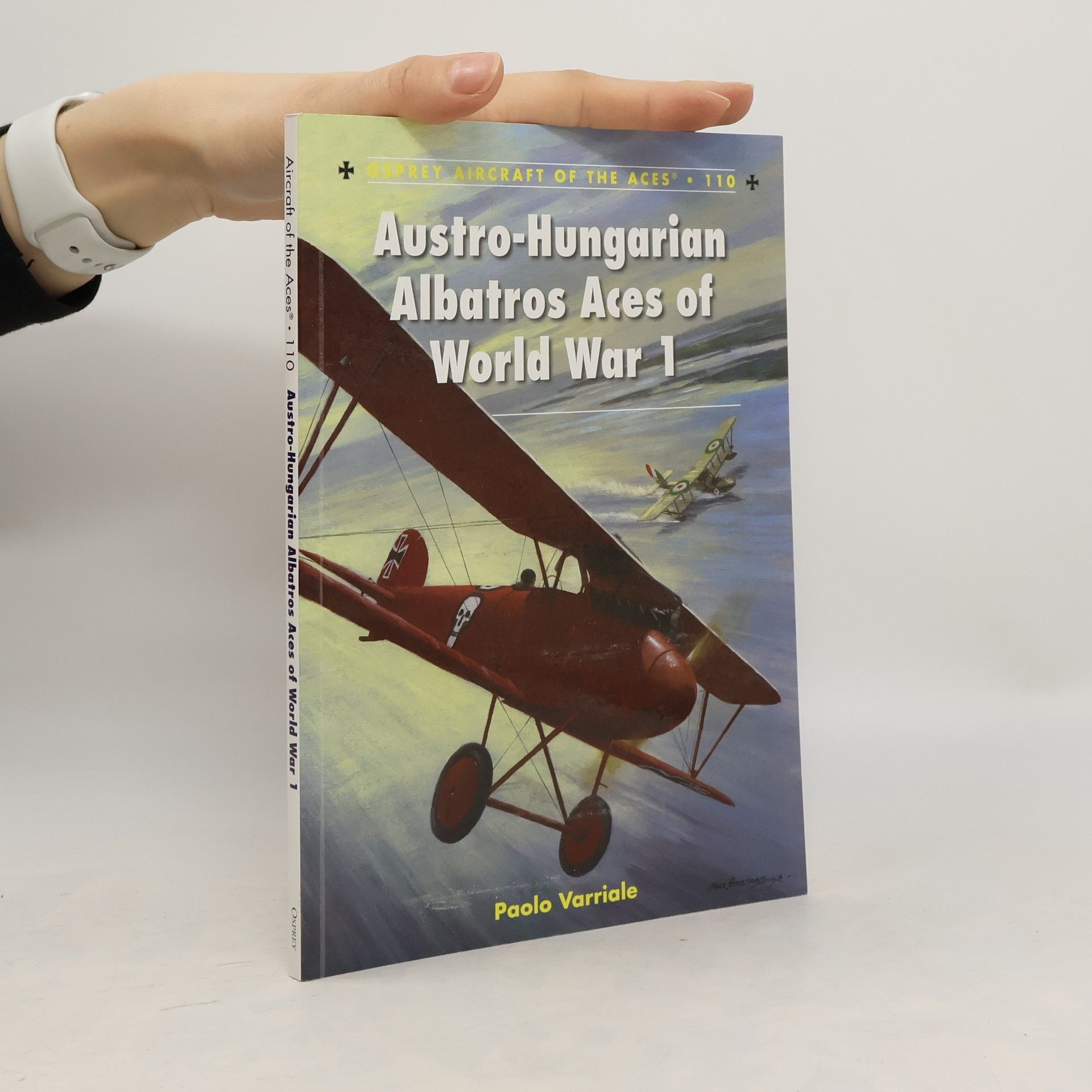 Harry Dempsey Austro-Hungarian Albatros aces of World War 1