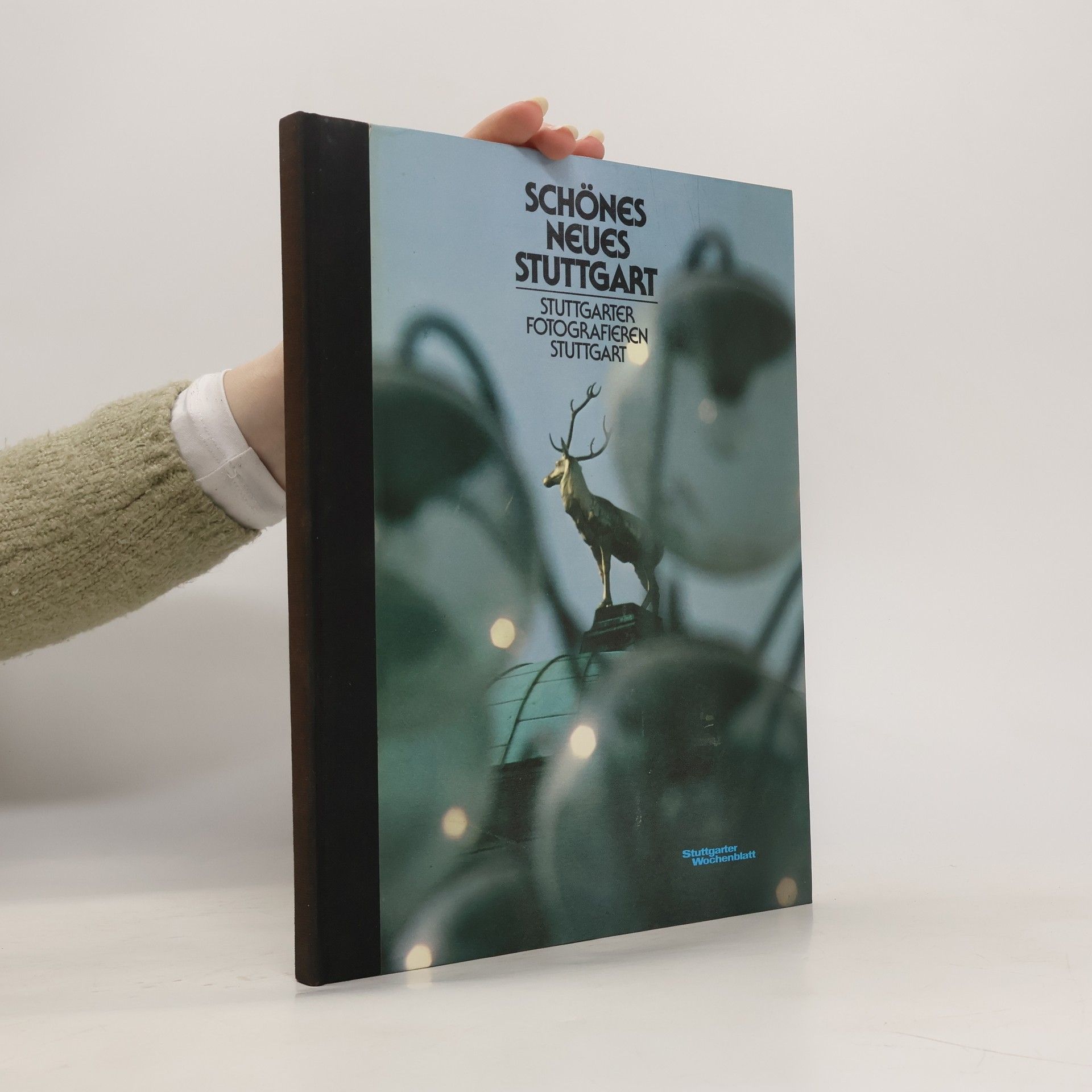 AA.VV. Schönes neues Stuttgart. Stuttgarter fotografieren Stuttgart