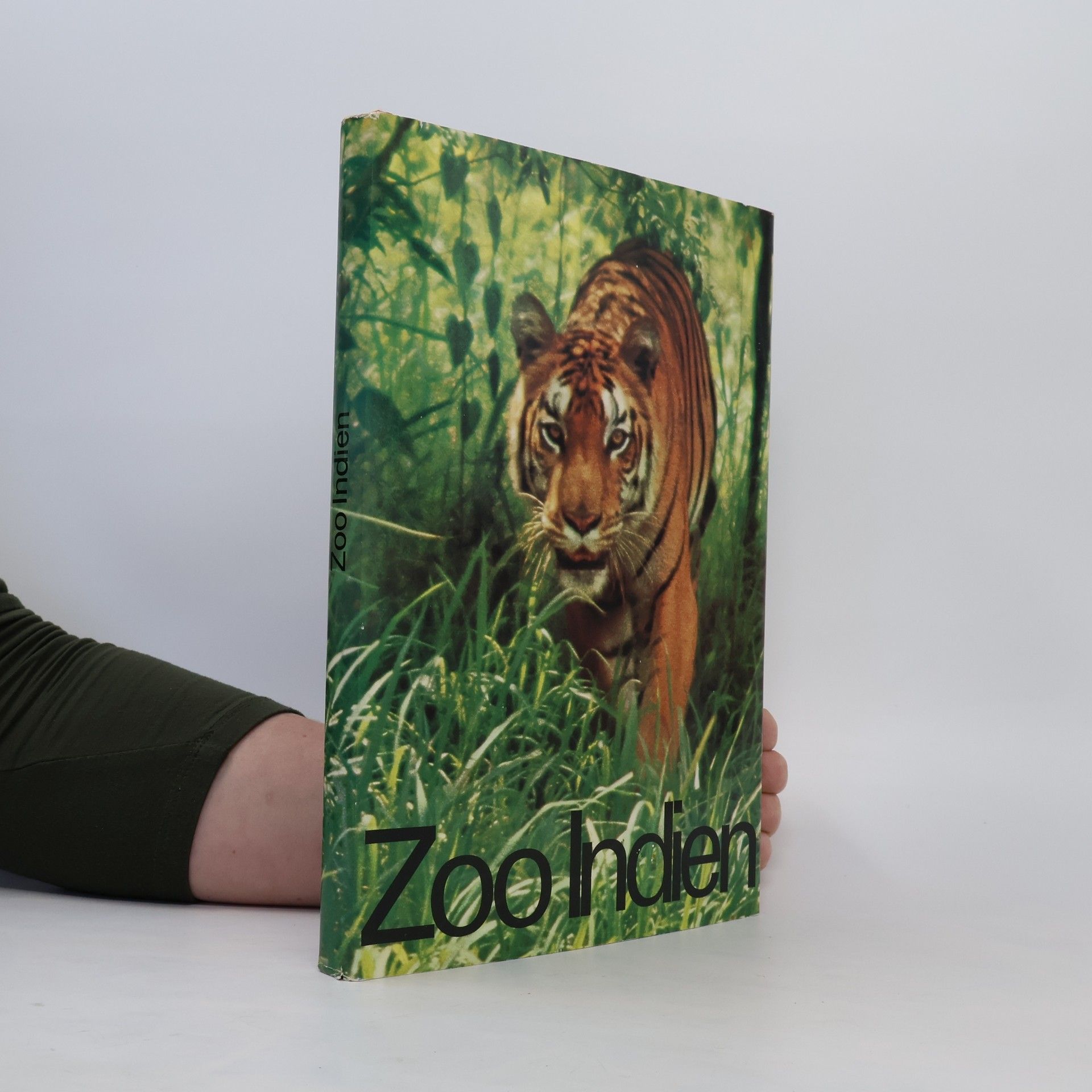 kolektiv Zoo Indien
