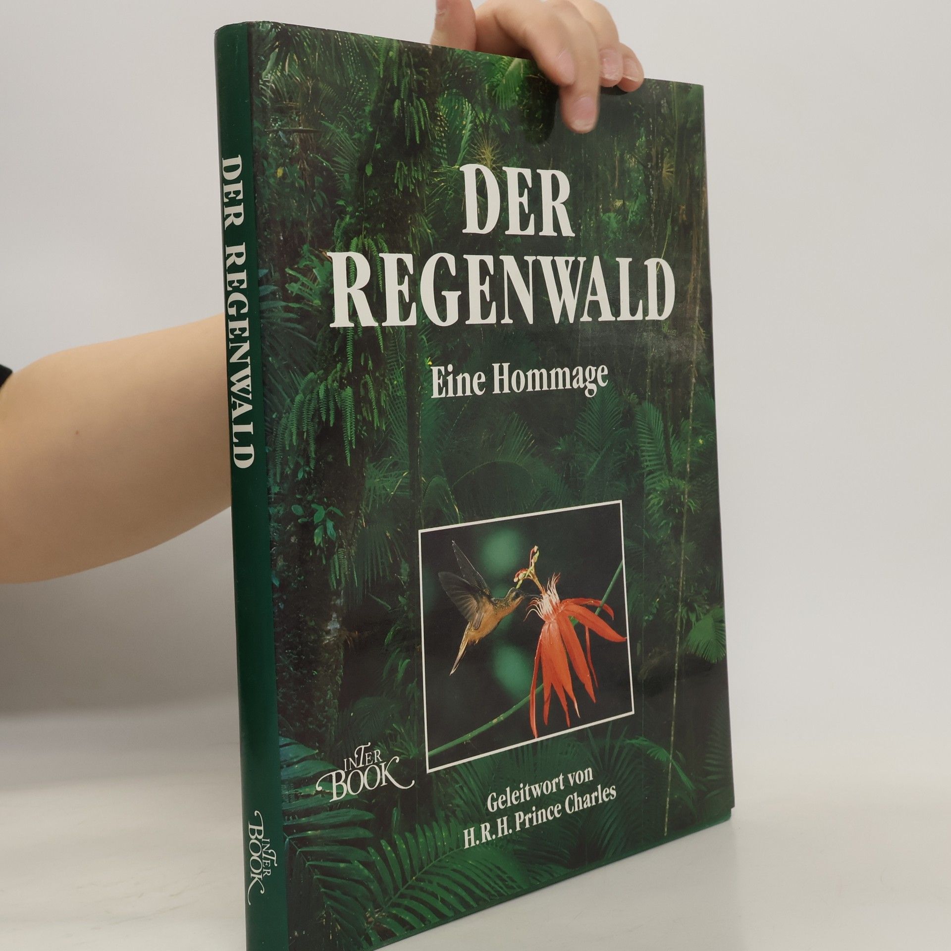 Charles Lamb Der Regenwald
