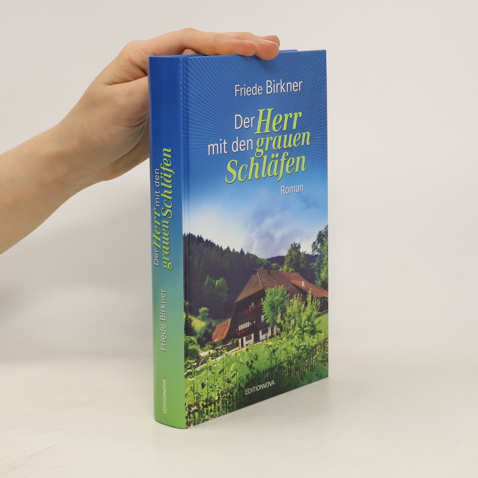 Frieda Birkner Der Herr mit den grauen Schläfen