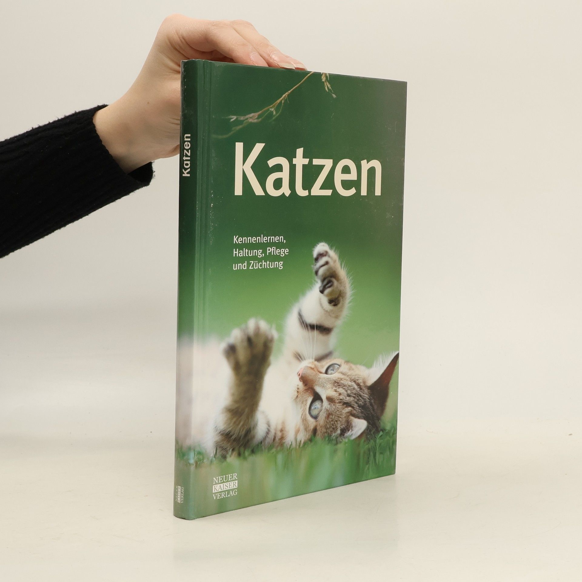 Collectif d'auteurs Katzen