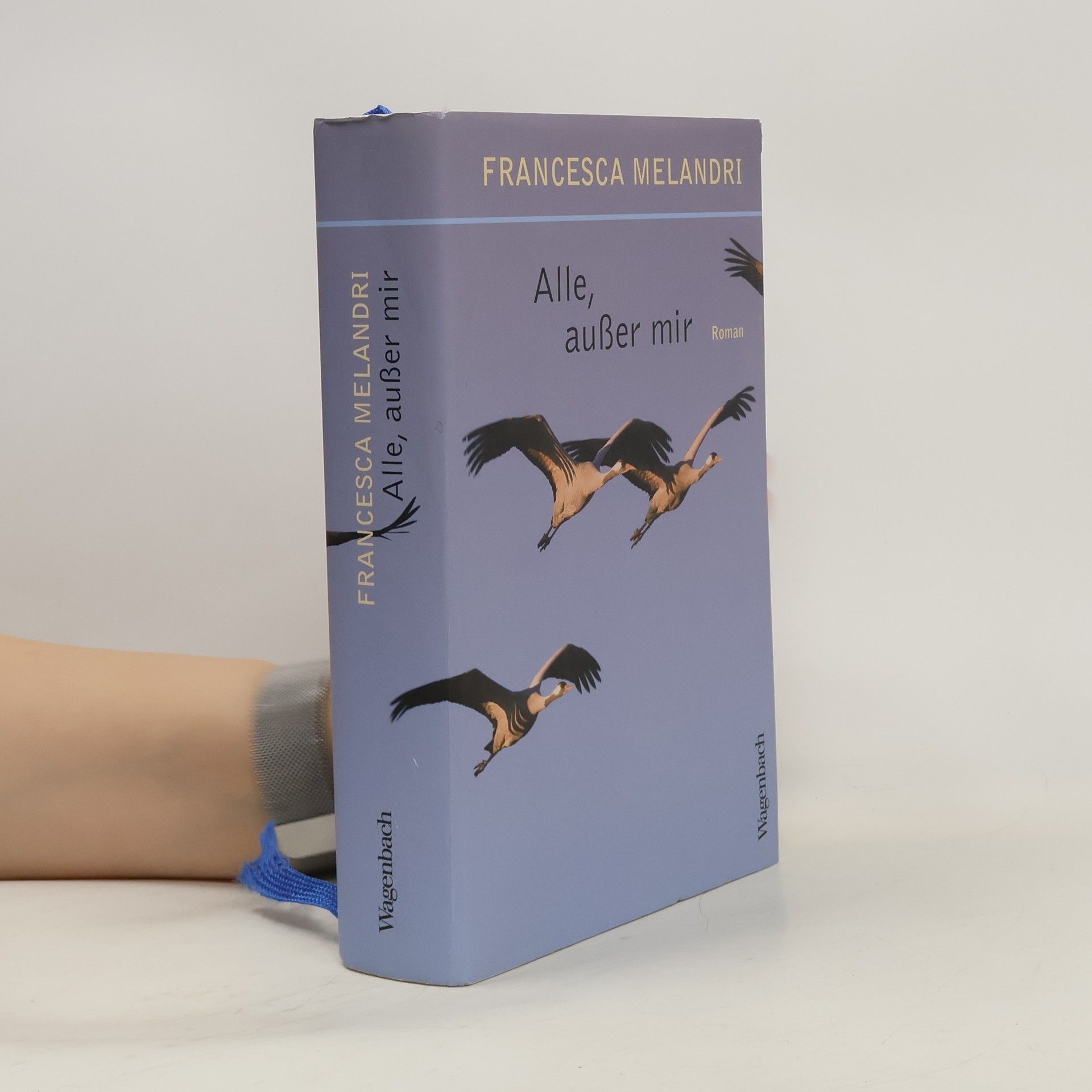 Francesca Melandri Alle, außer mir
