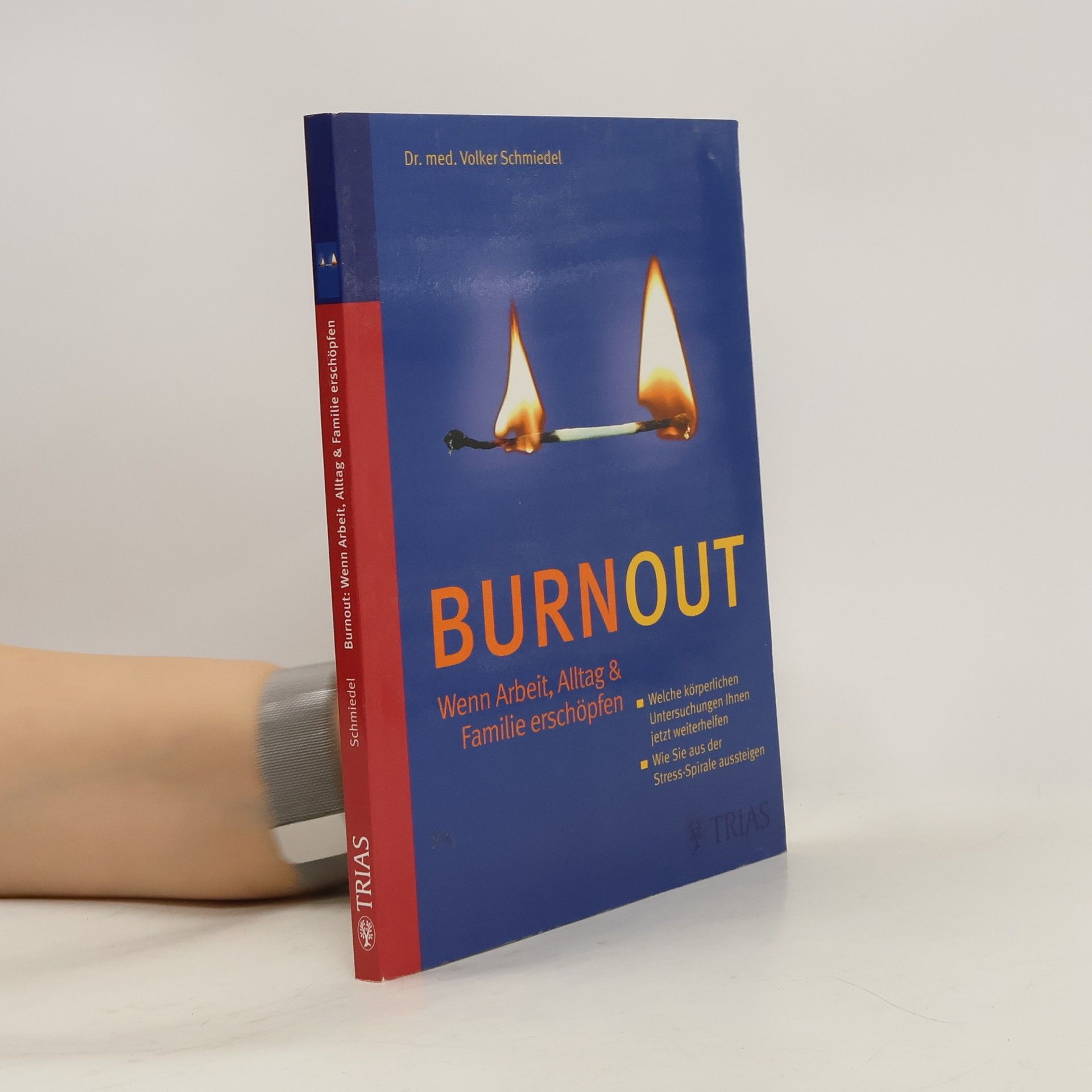 Volker Schmiedel Burnout