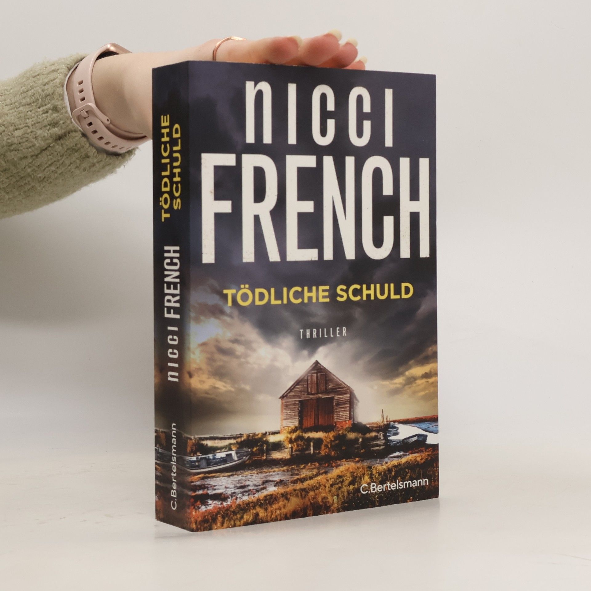 Nicci French Tödliche Schuld