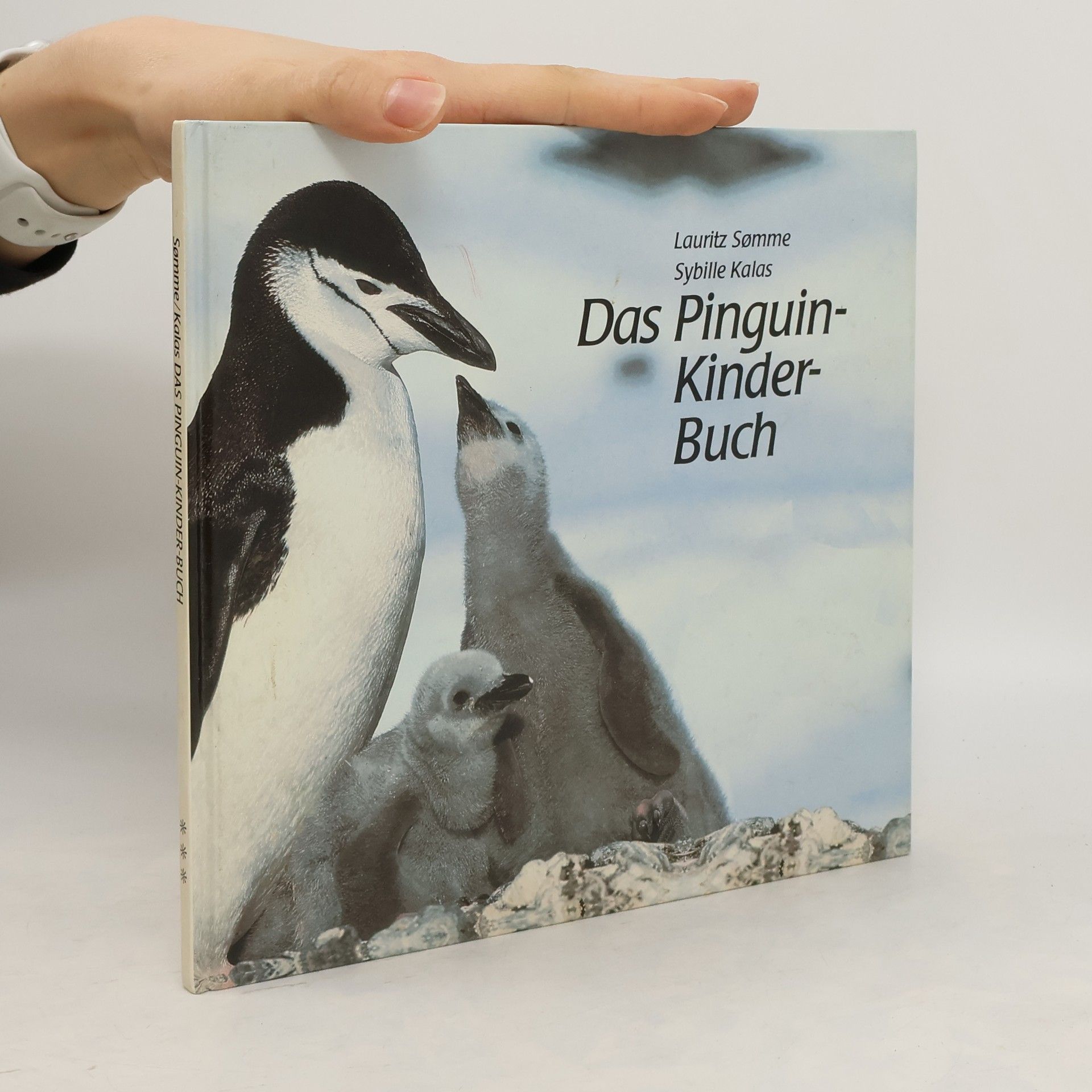 Lauritz Sømme Das Pinguin-Kinder-Buch