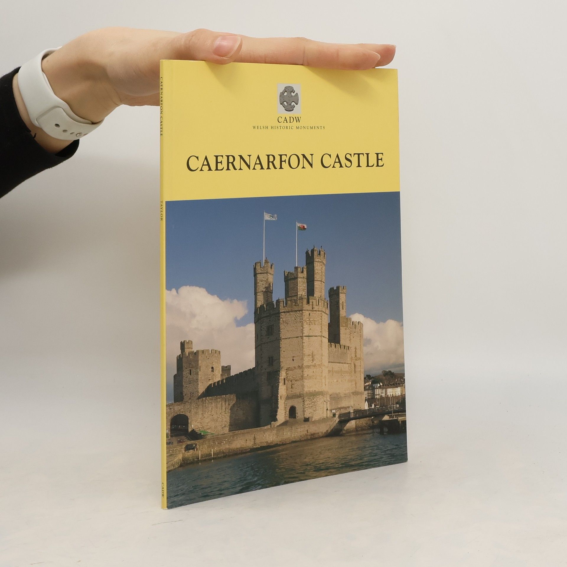 Collectif d'auteurs Caernarfon Castle
