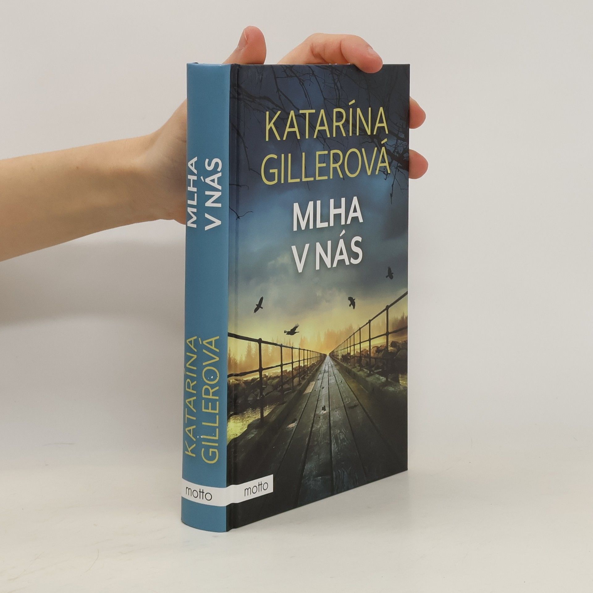 Katarína Gillerová Mlha v nás