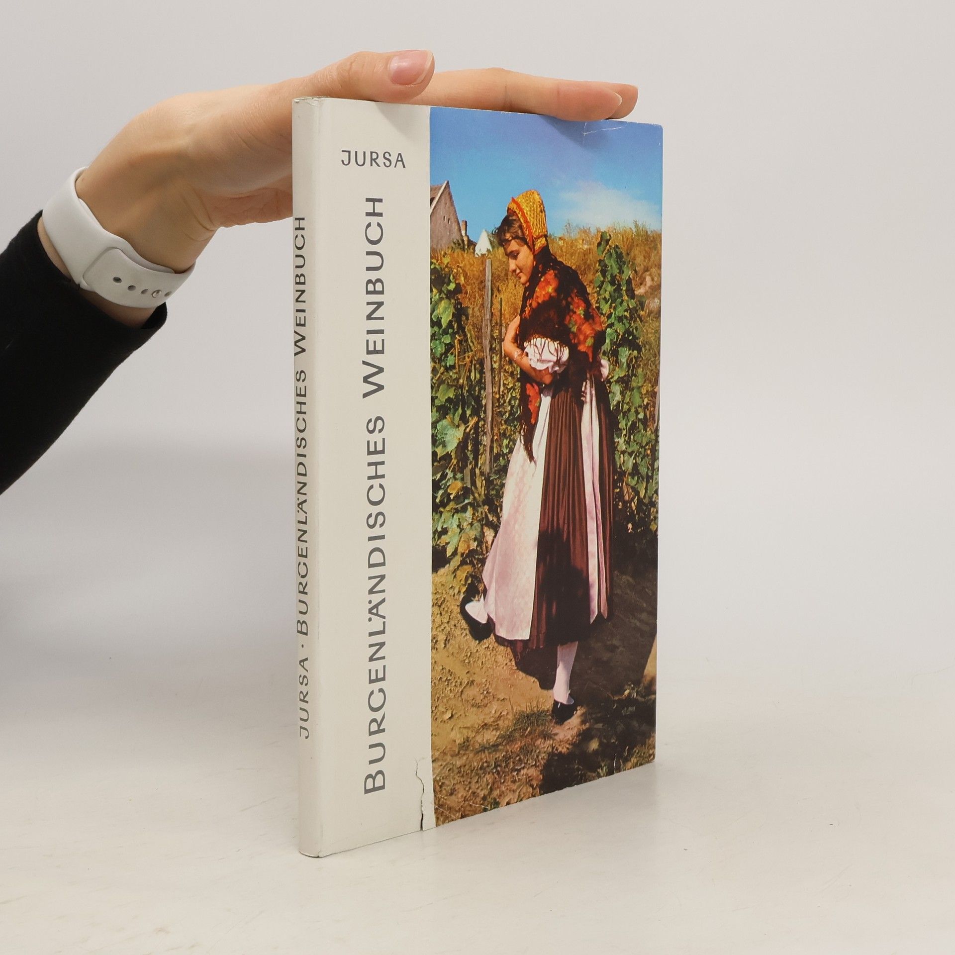 Autorenkollektiv Burgenländisches Weinbuch