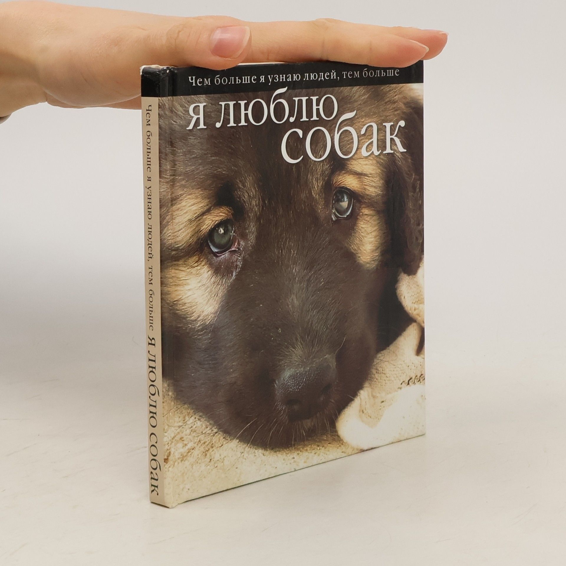 Autorenkollektiv Чем больше я узнаю людей, тем больше я люблю собак