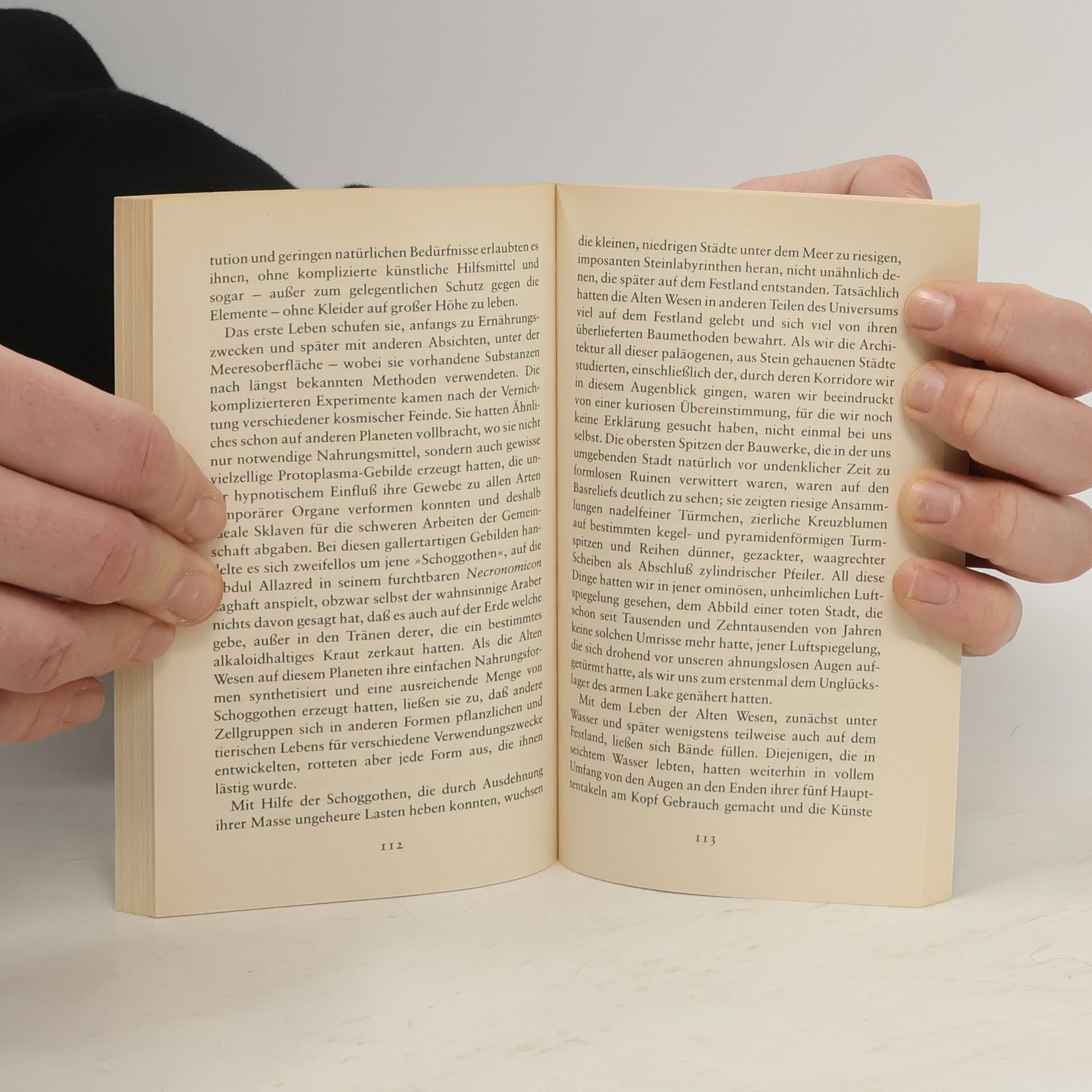Howard Phillips Lovecraft Berge des Wahnsinns