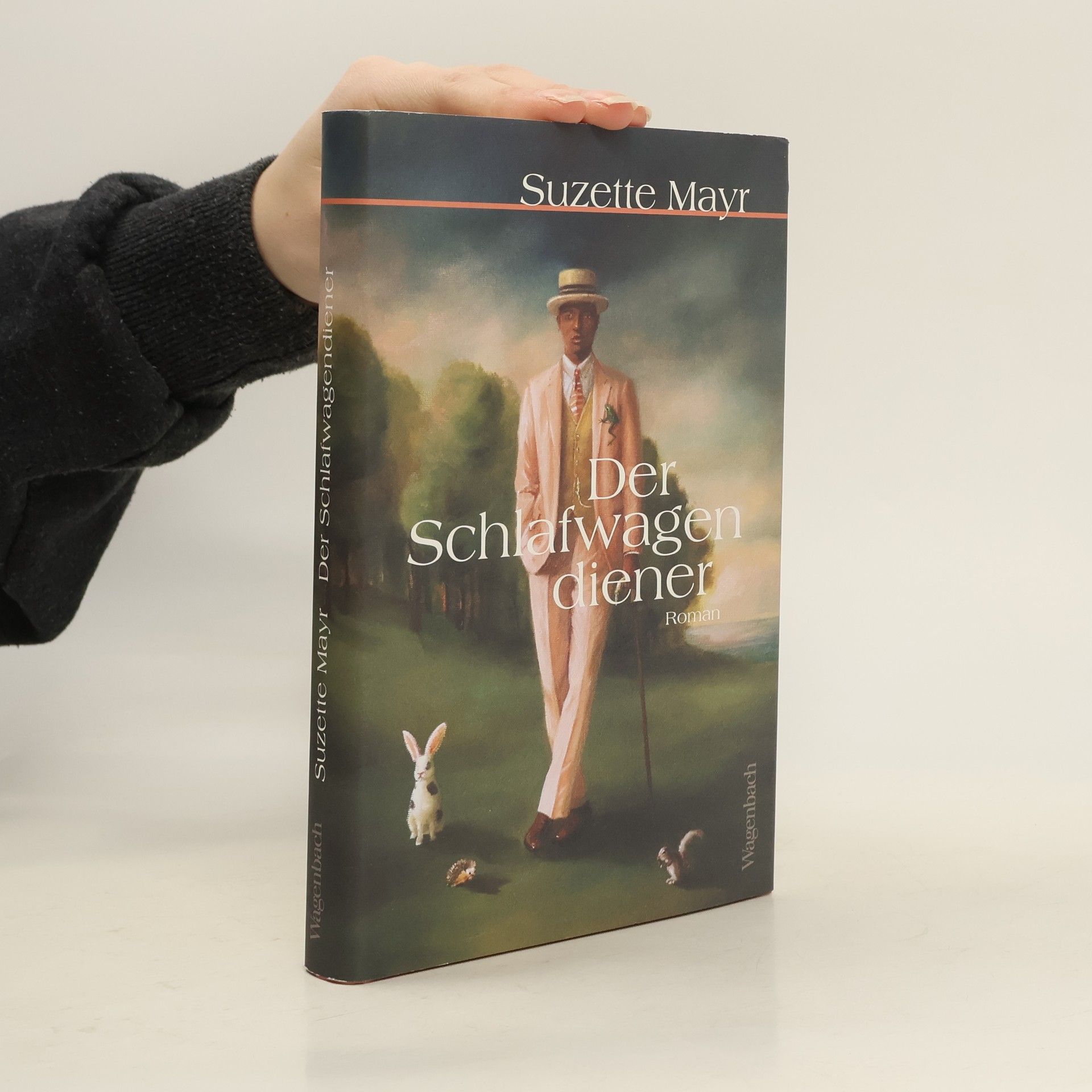 Suzette Mayr Der Schlafwagendiener