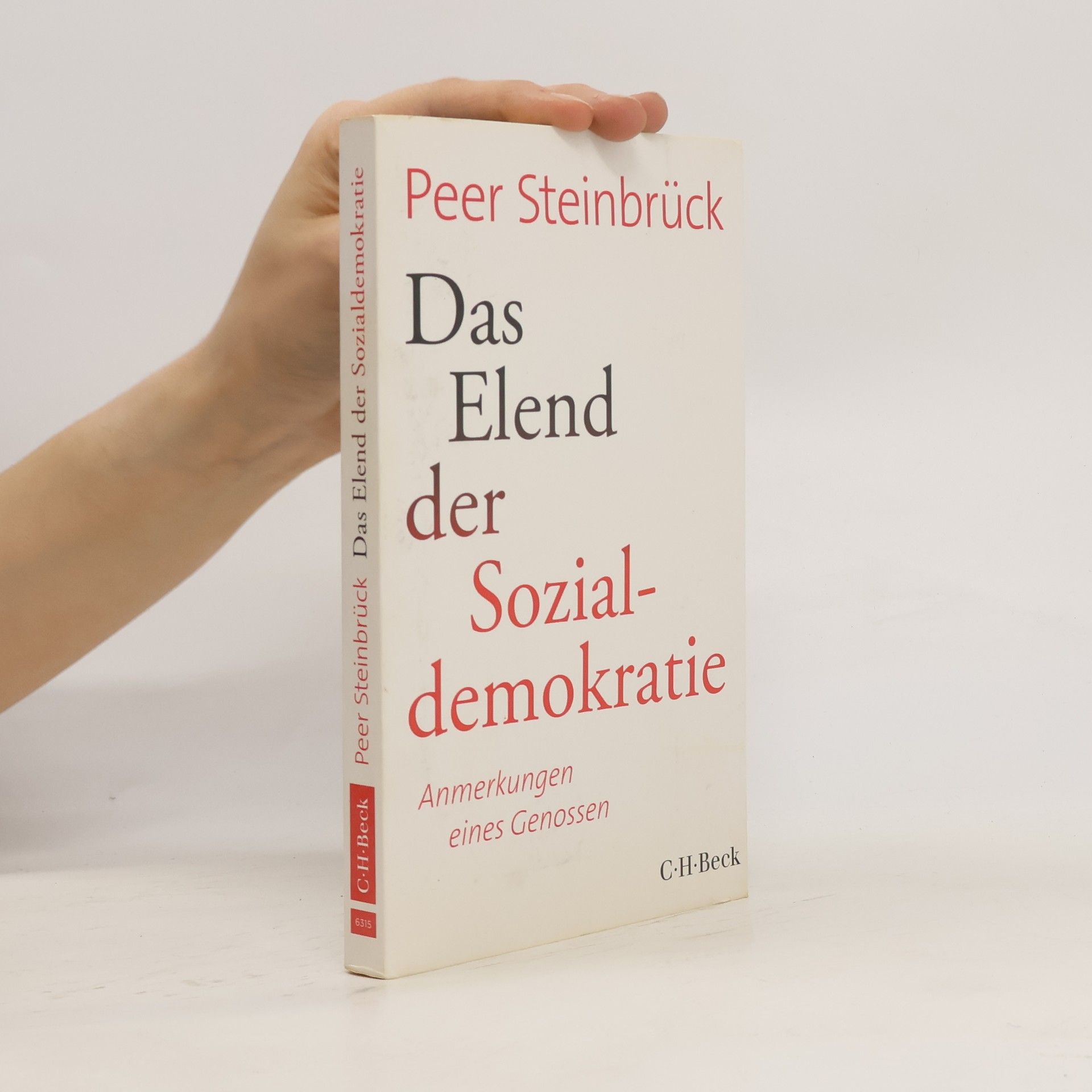 Peer Steinbrück Das Elend der Sozialdemokratie