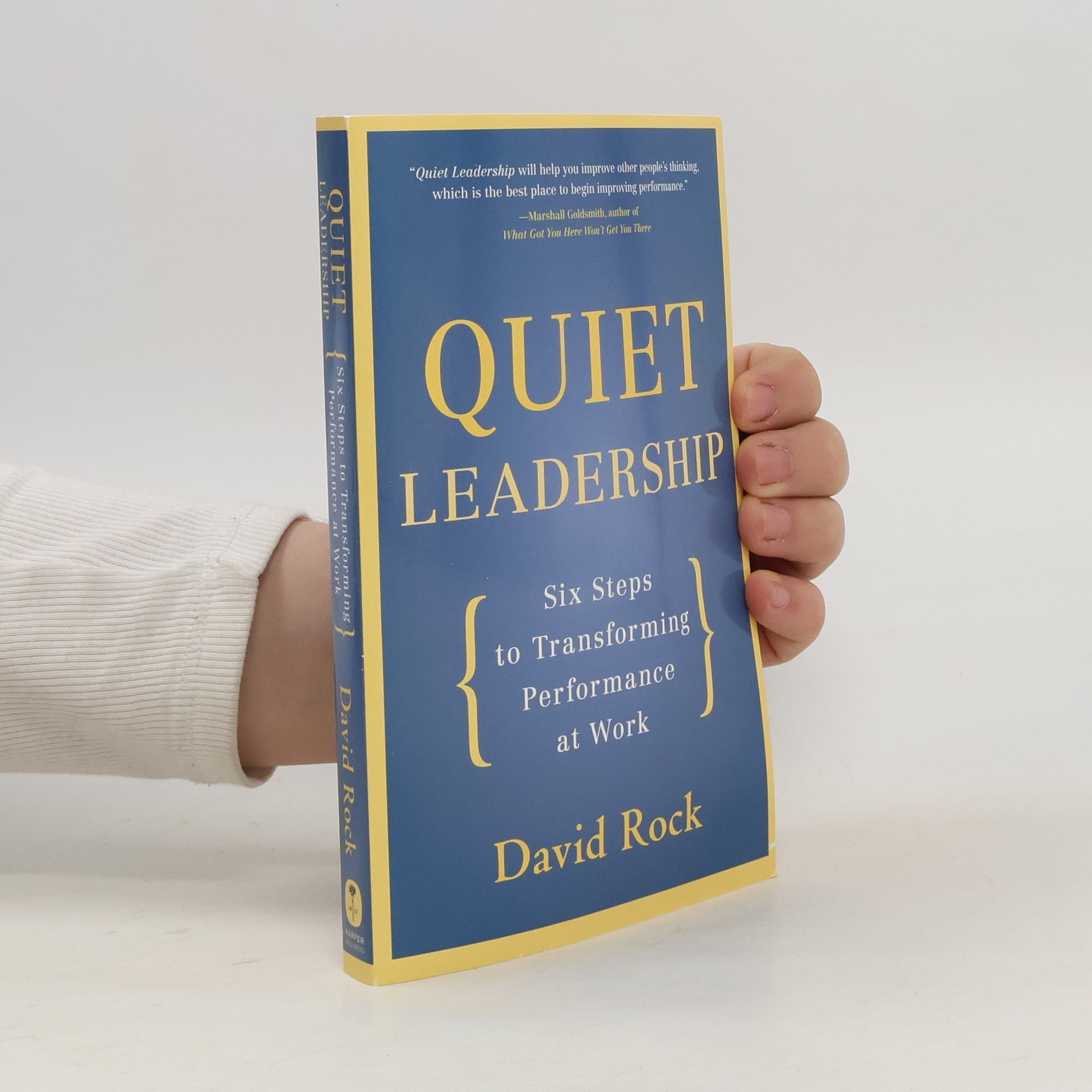 David Rock Quiet Leadership
