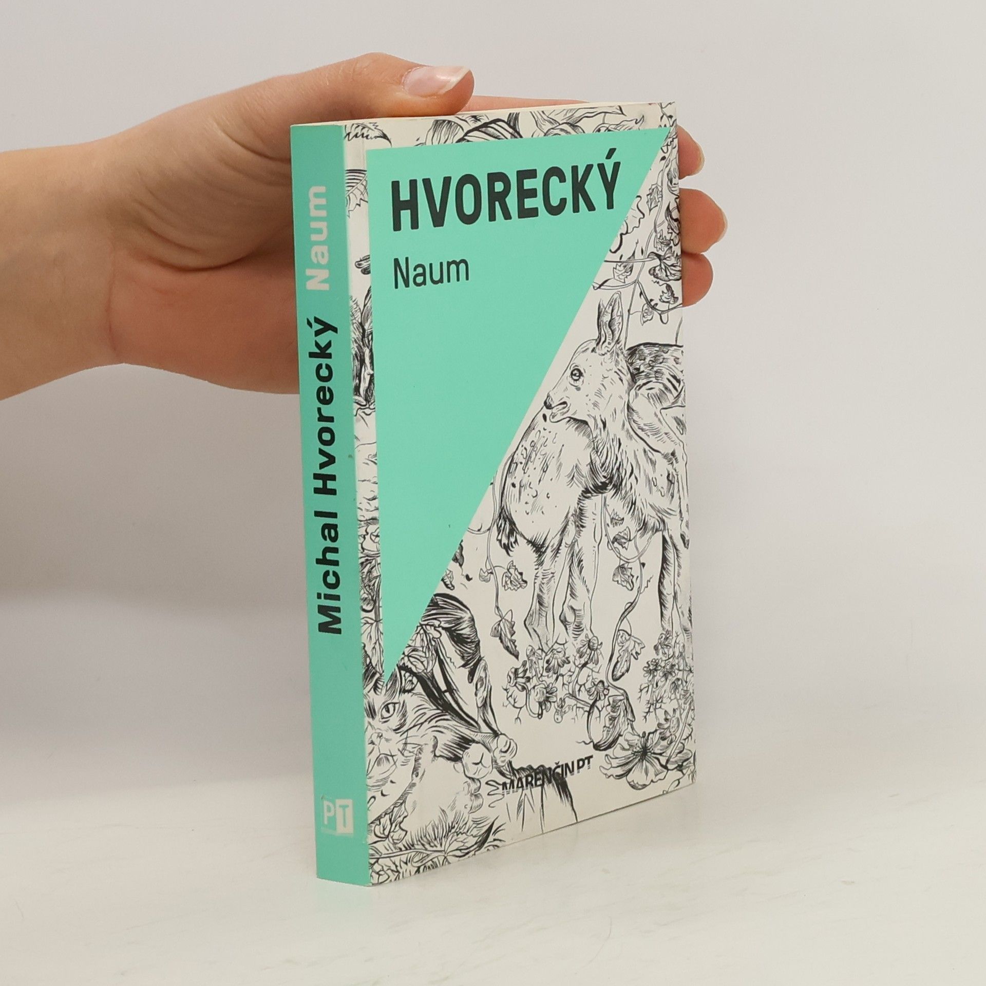 Michal Hvorecký Naum