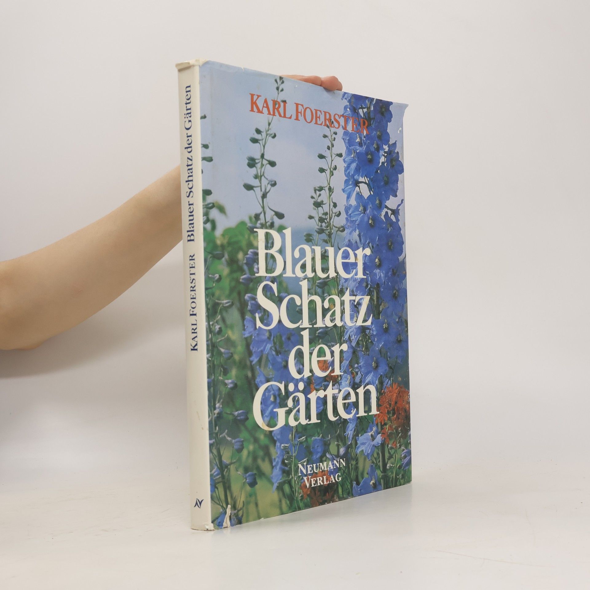Karl Foerster Blauer Schatz der Gärten