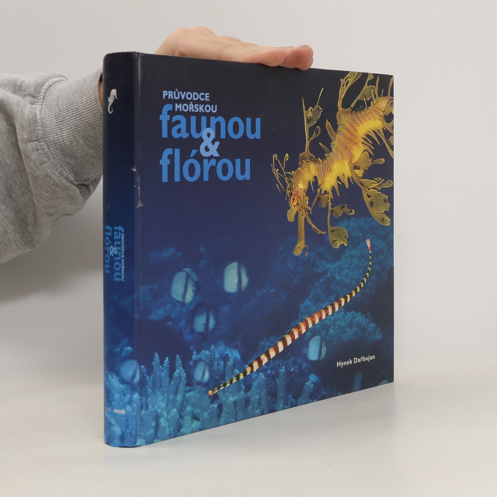 Hynek Dařbujan Průvodce mořskou faunou & flórou