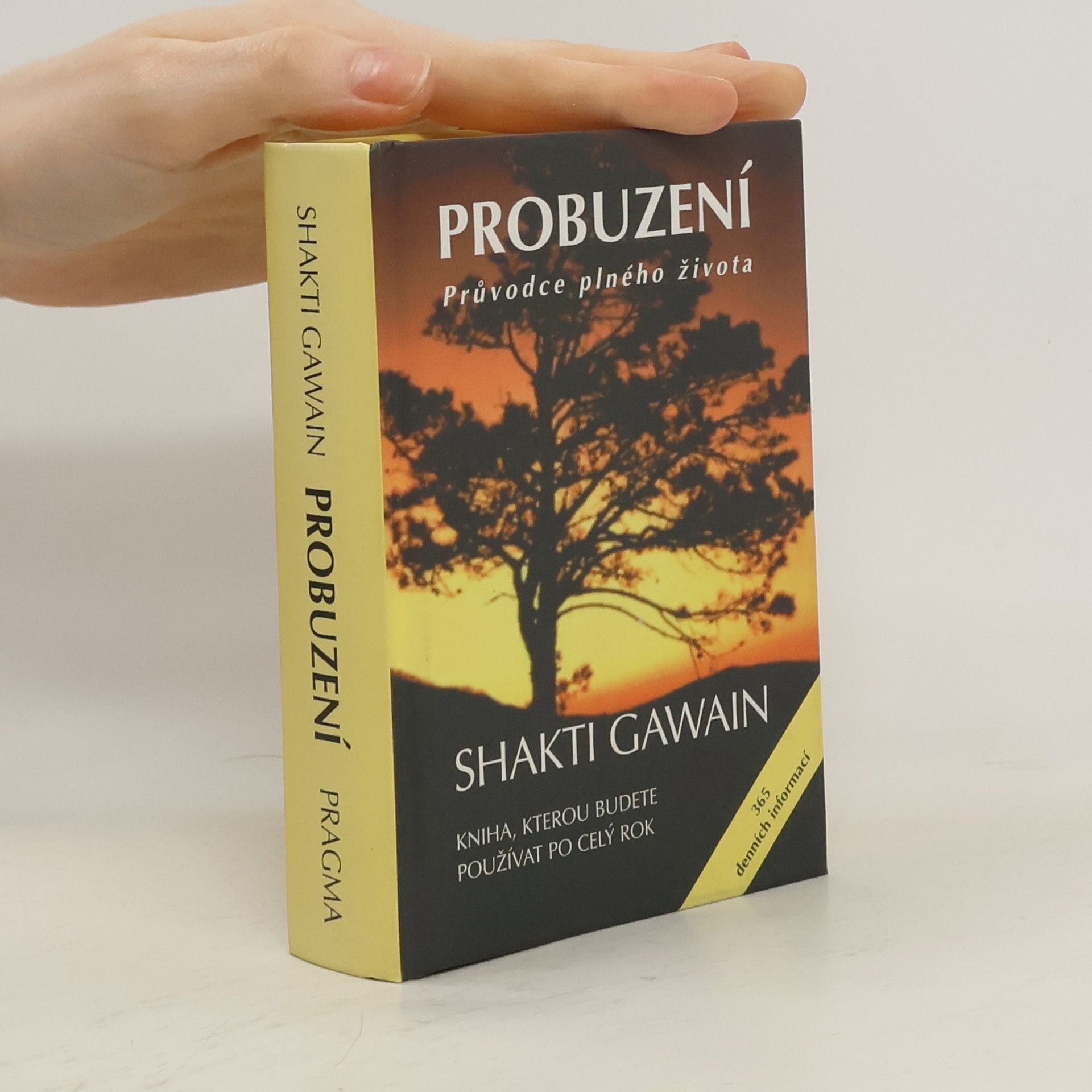 Shakti Gawain Probuzení. Průvodce plného života