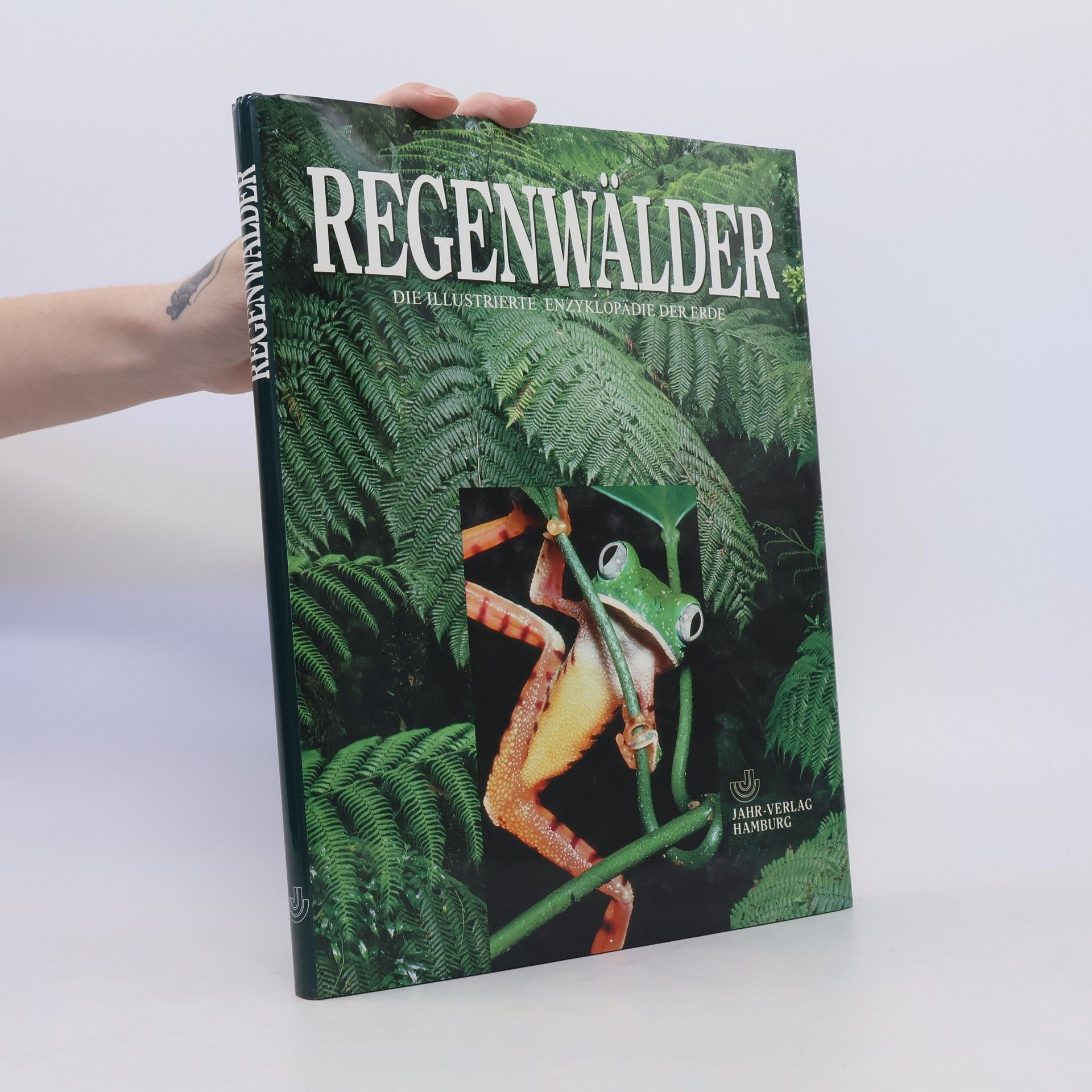 Autores varios Regenwälder
