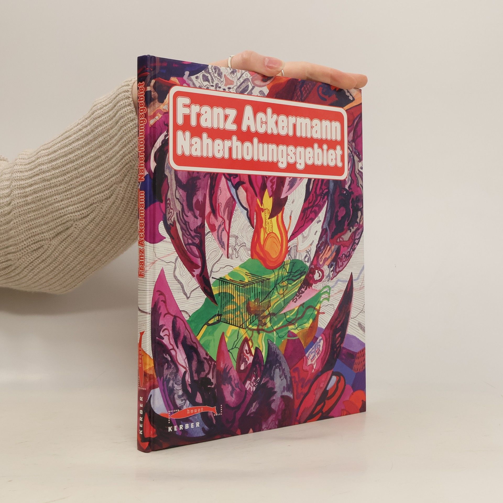 Franz Ackermann Franz Ackermann, Naherholungsgebiet