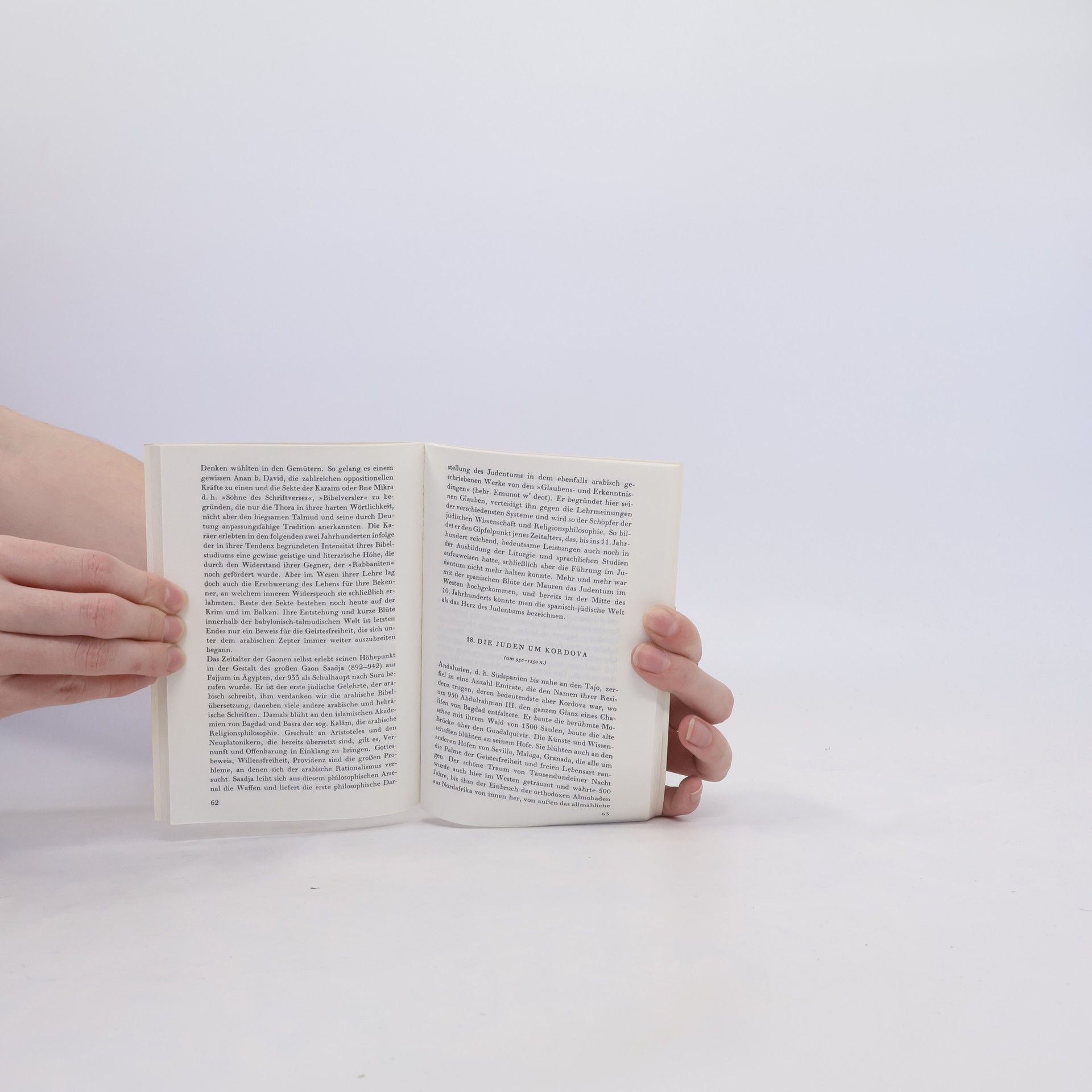 Autorenkollektiv Die Geschichte der Juden