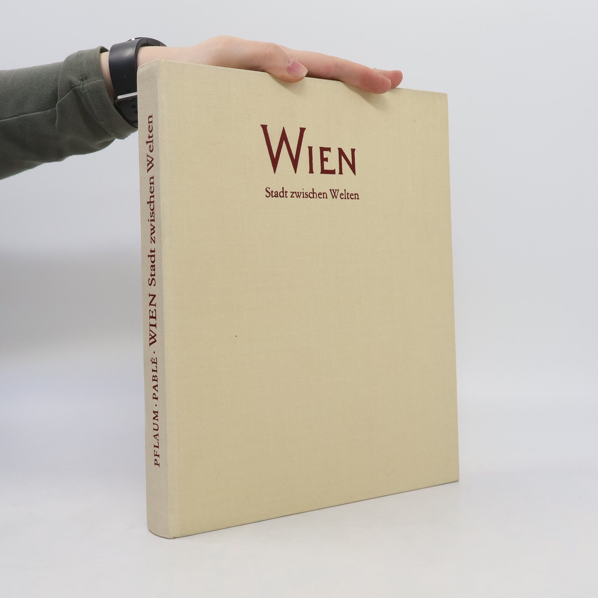 Barbara Pflaum Wien. Stadt zwischen Welten
