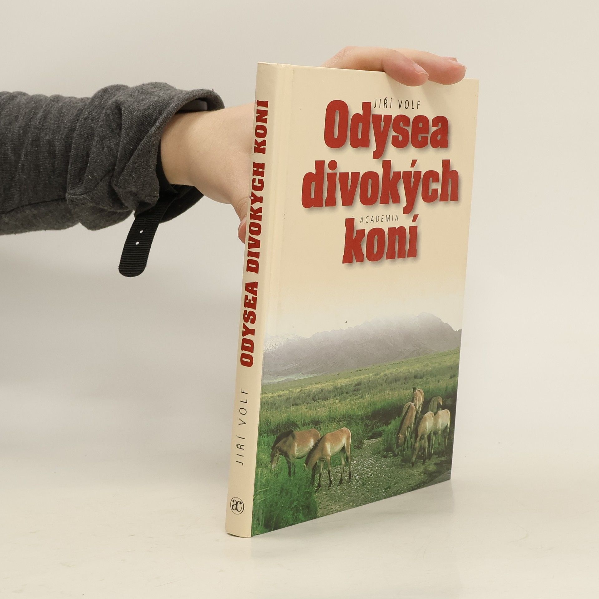 Jiří Volf Odysea divokých koní