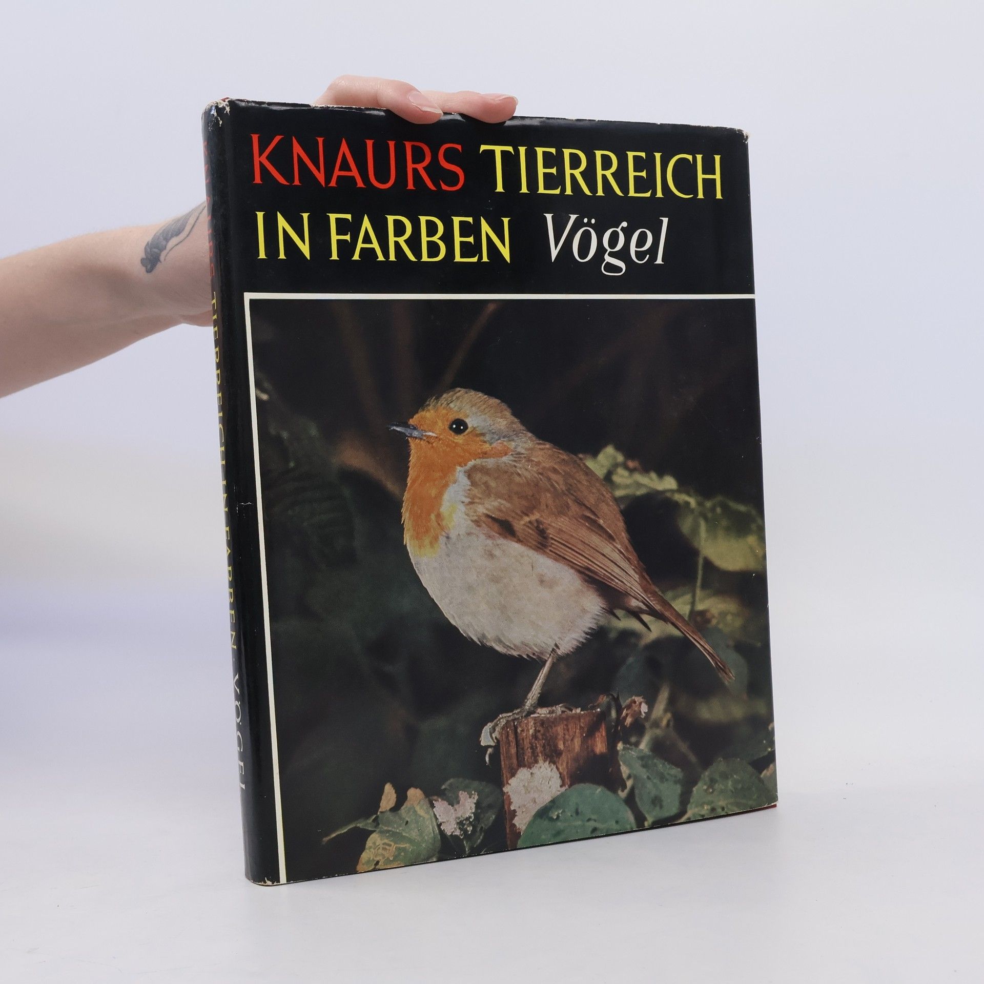 AA.VV. Knaurs Tierreich in Farben. Vögel