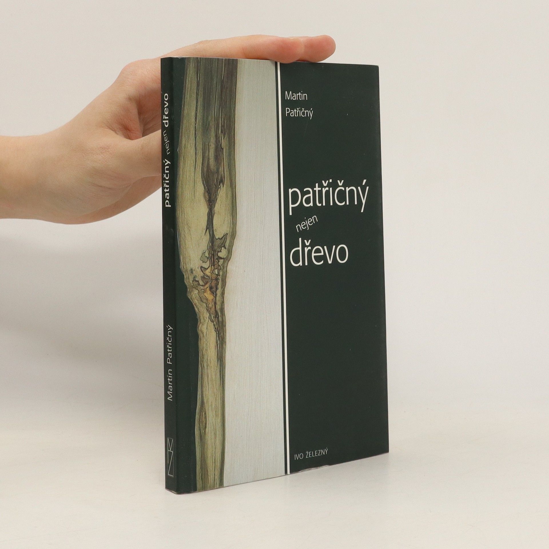 Martin Patřičný Patřičný nejen dřevo