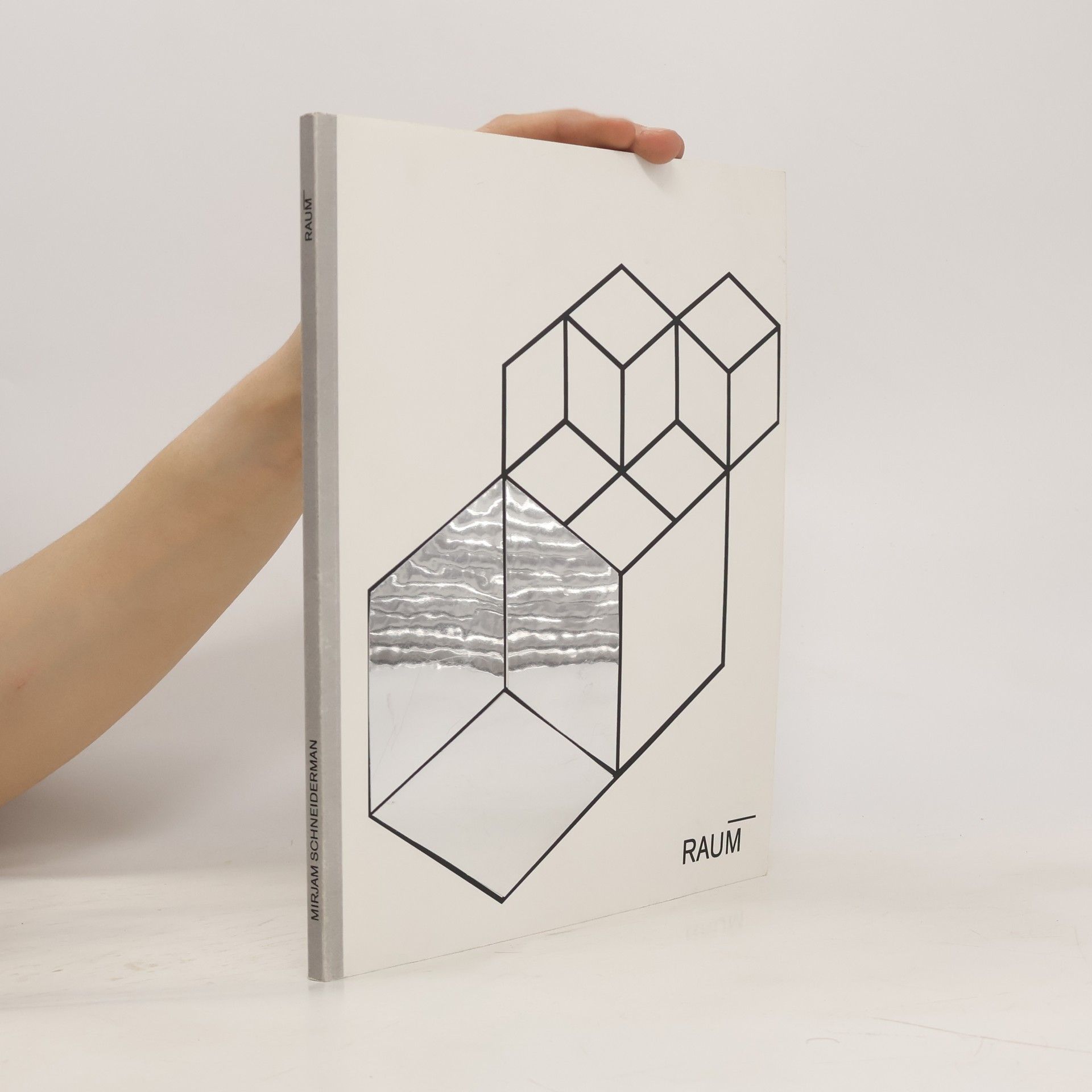 Mirjam Schneiderman Raum