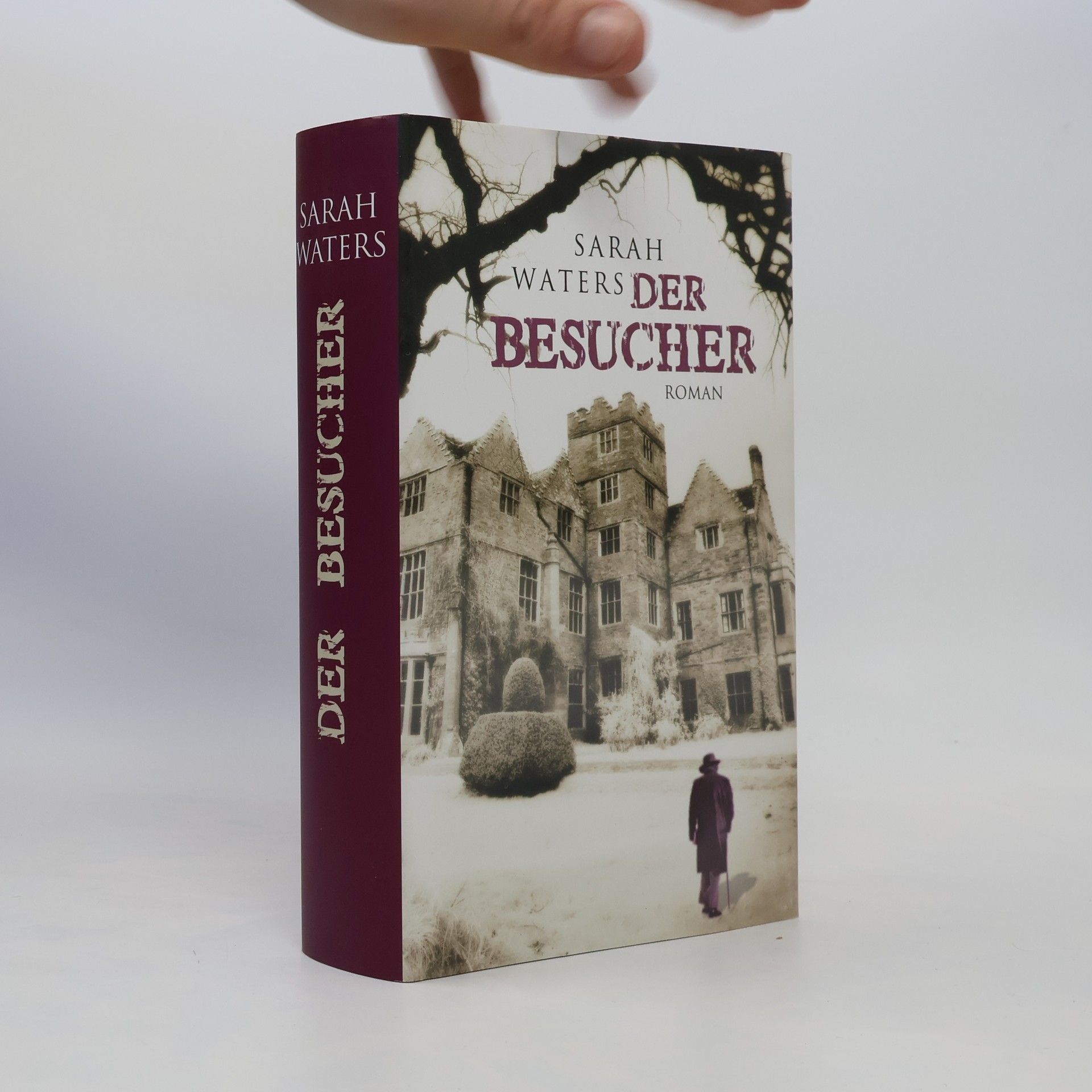 Sarah Waters Der Besucher
