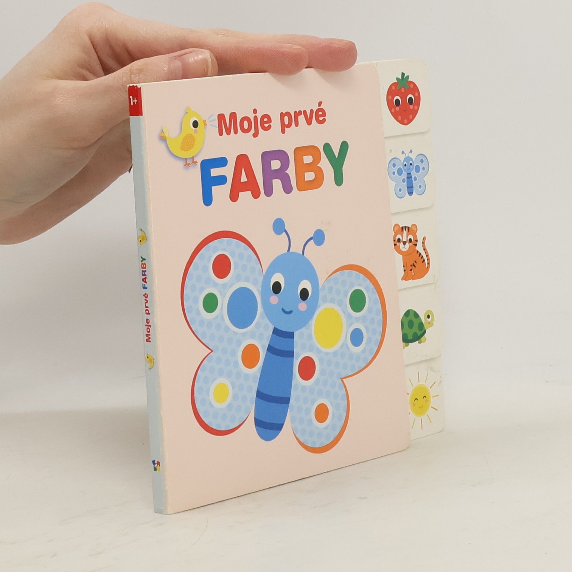 kolektiv Moje prvé farby