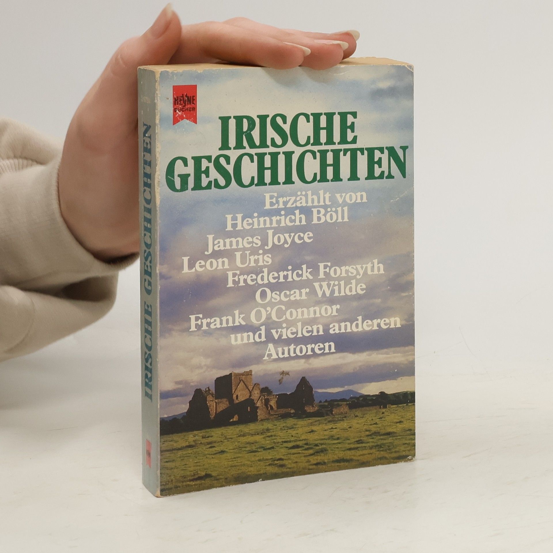 Manfred Kluge Irische Geschichten