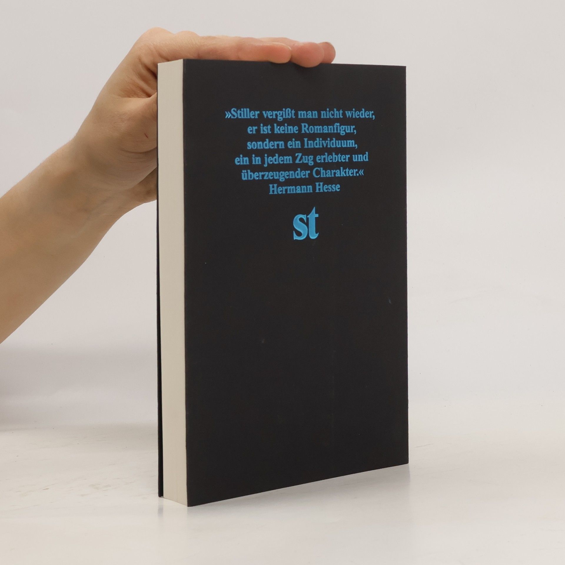 Max Frisch Stiller