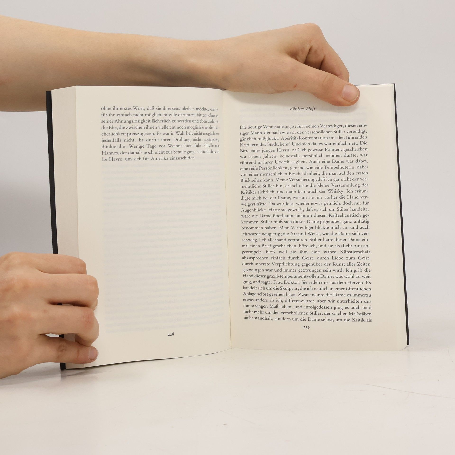 Max Frisch Stiller