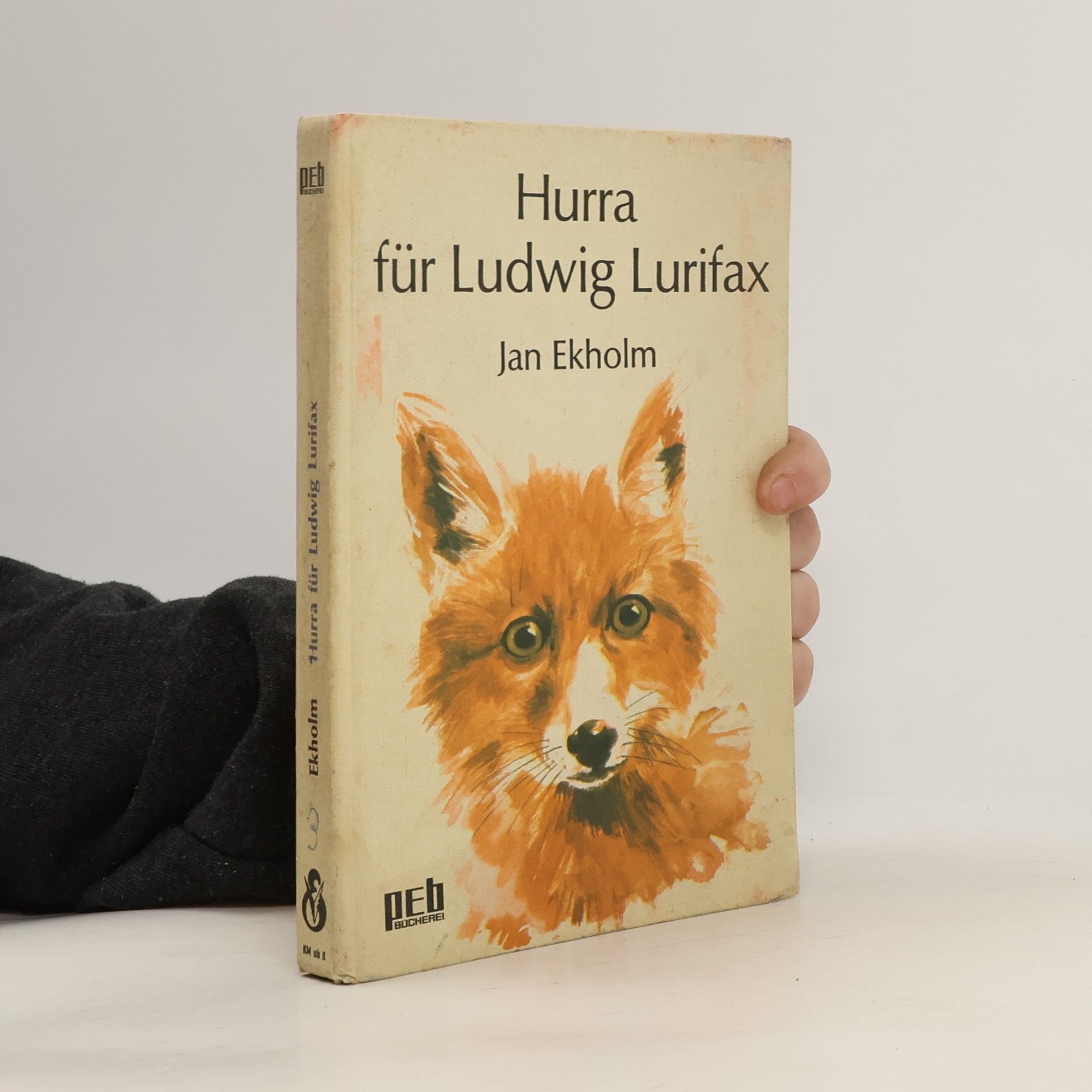 Jan Ekholm Hurra für Ludwig Lurifax