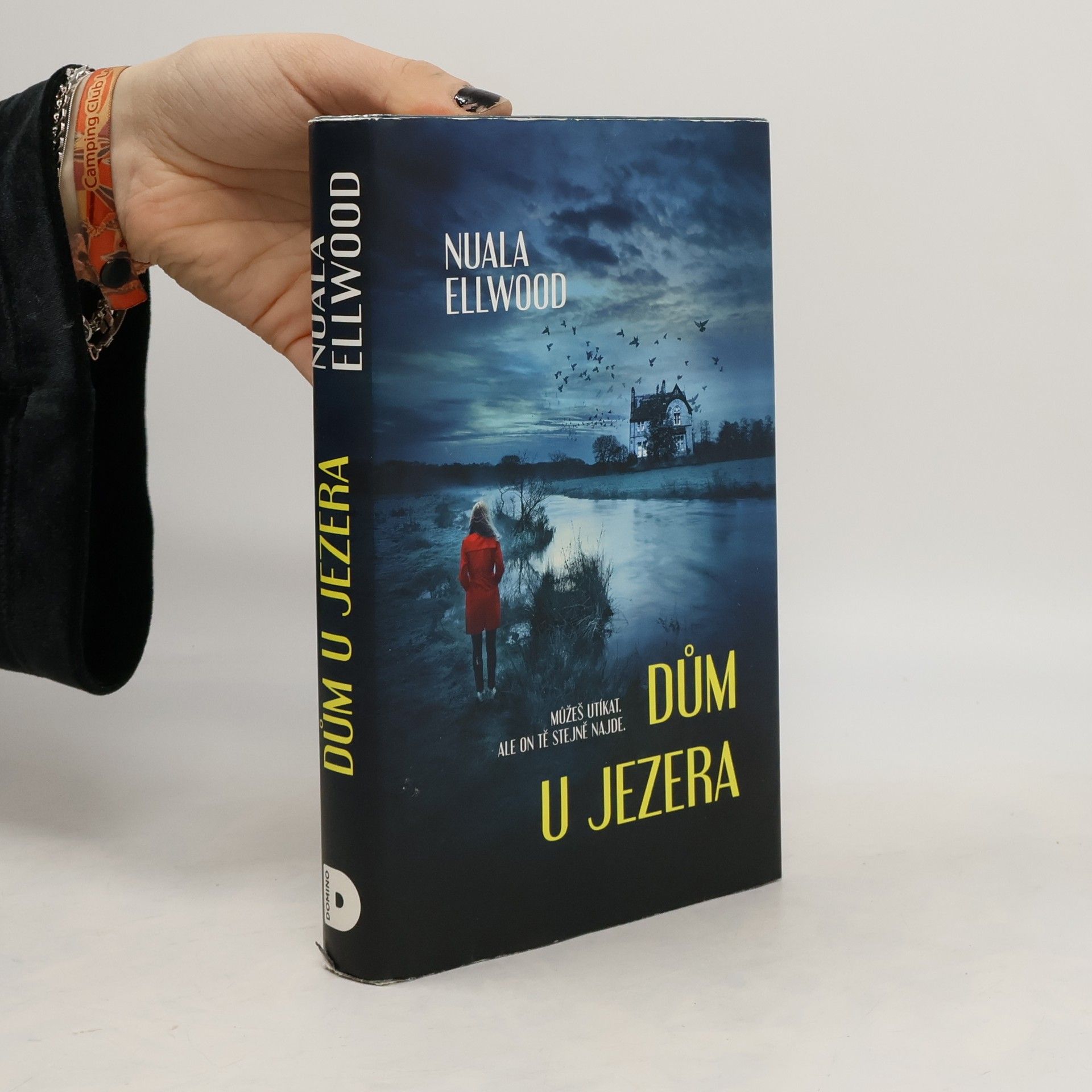 Nuala Ellwood Dům u jezera