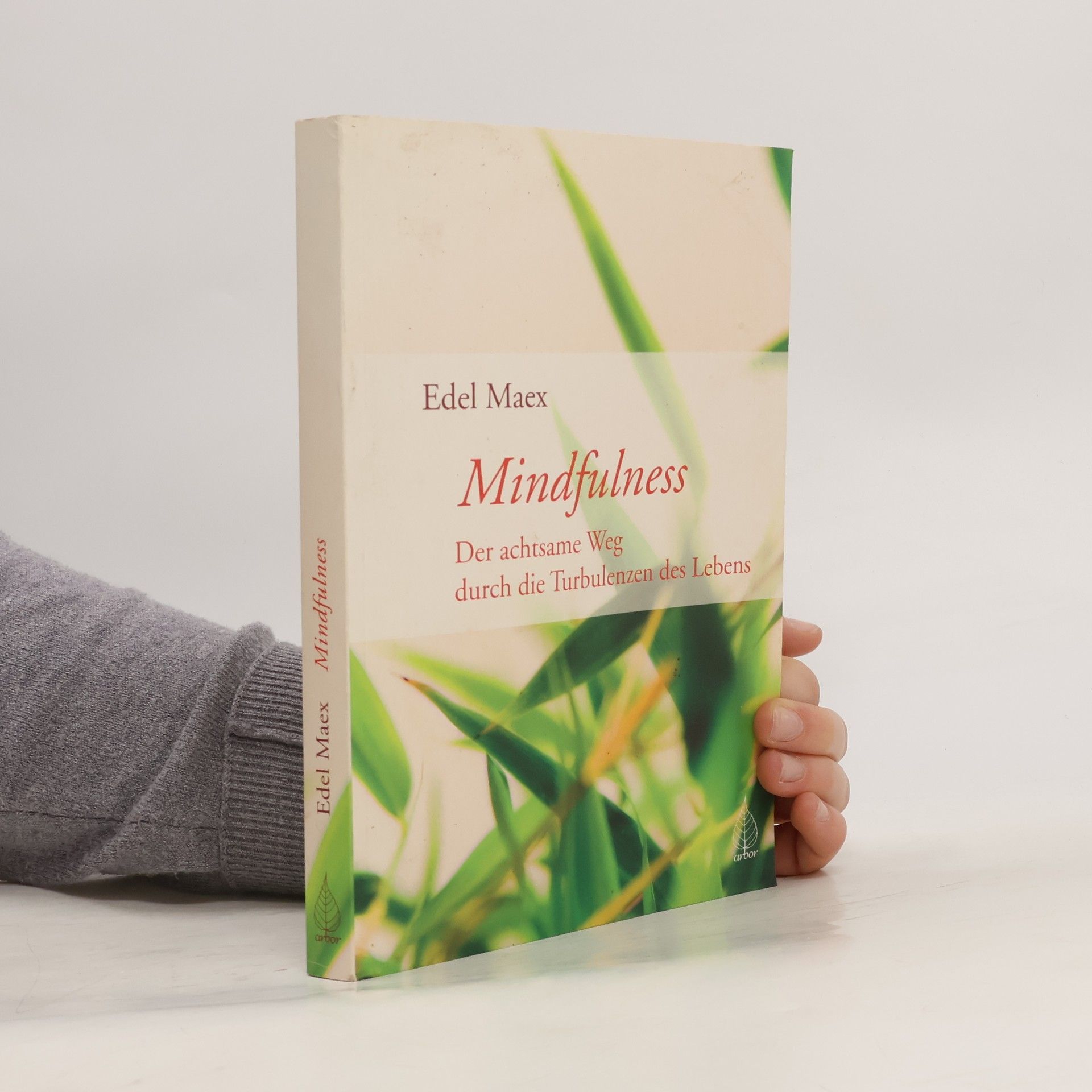 Edel Maex Mindfulness