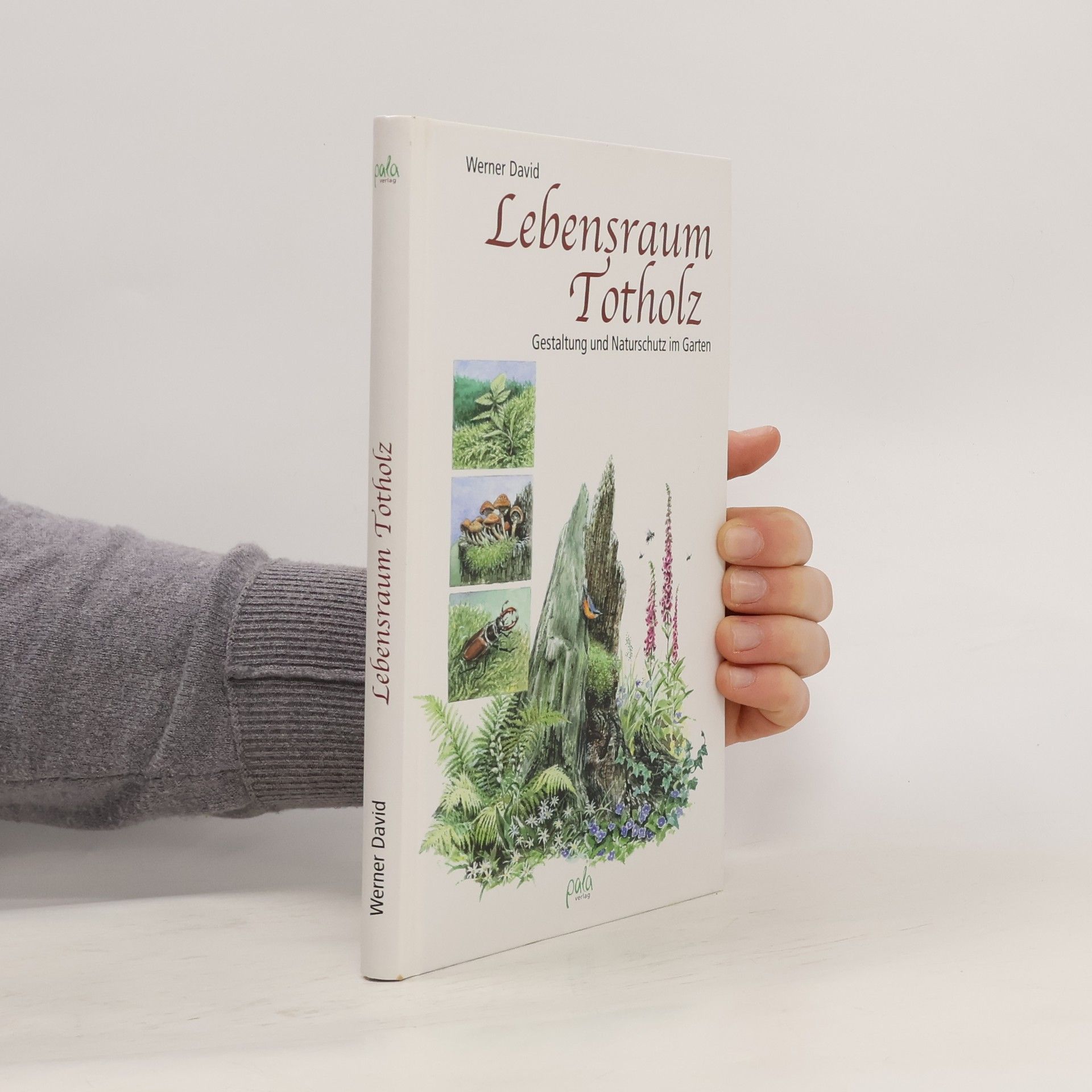 David Werner Lebensraum Totholz