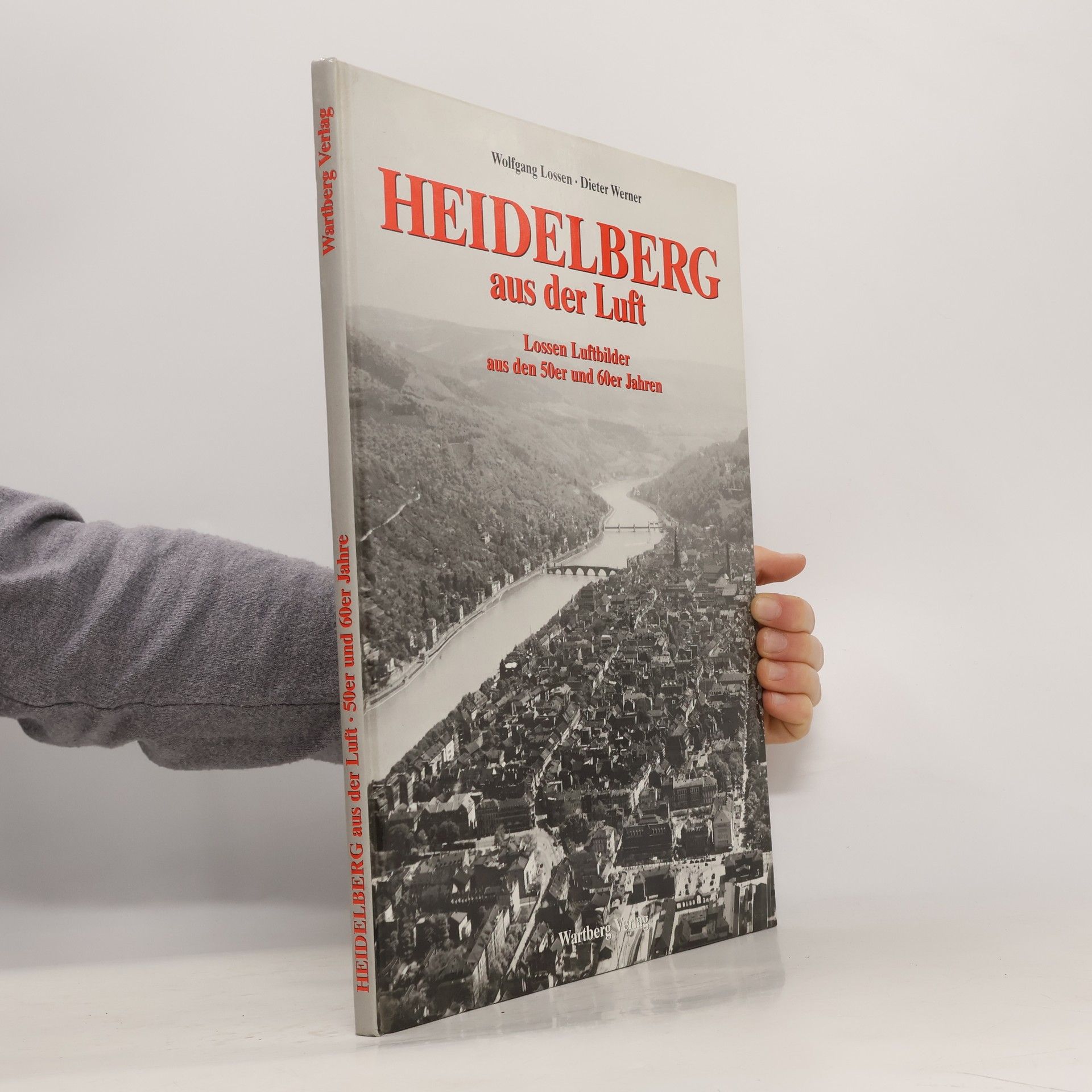 Wolfgang Lossen Heidelberg aus der Luft