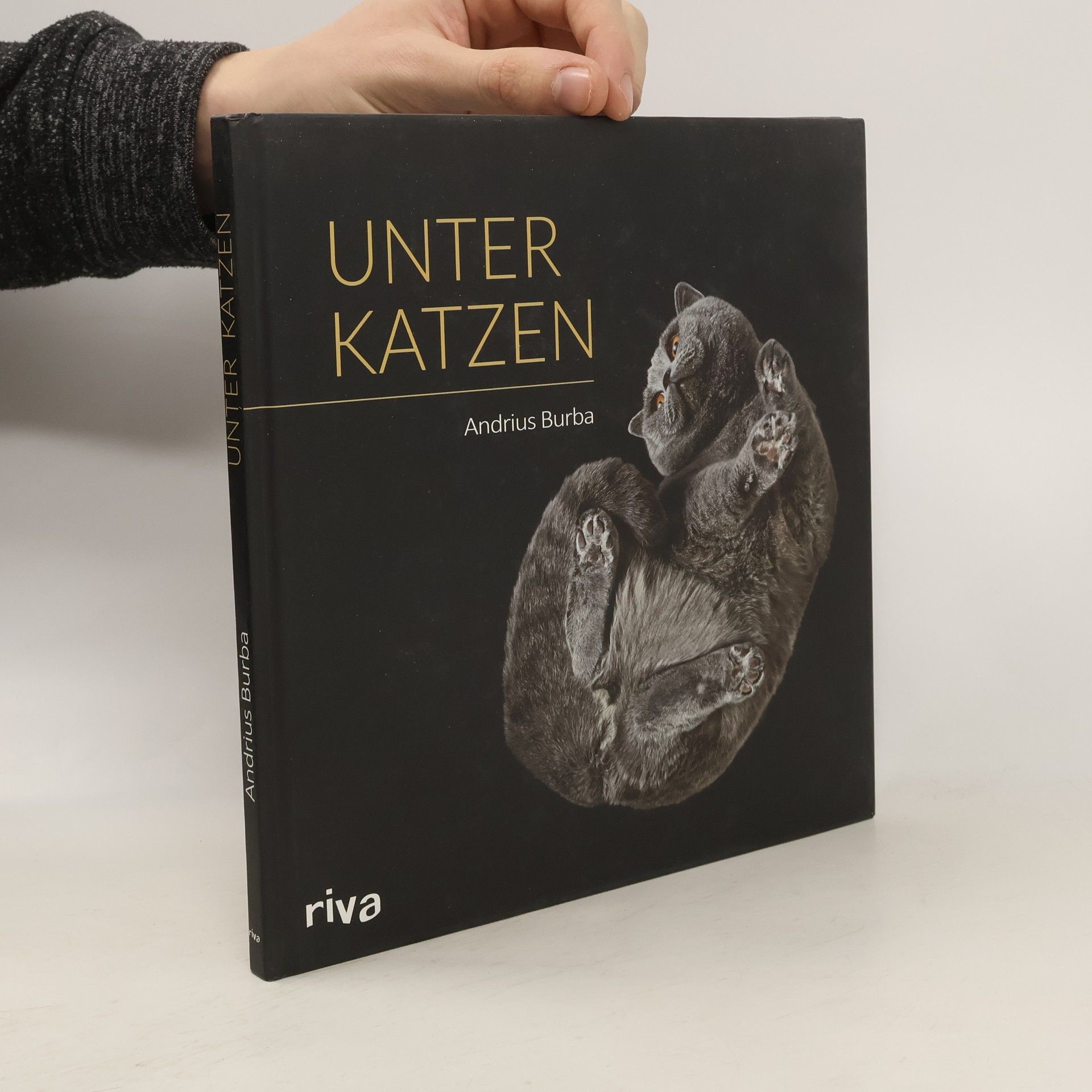 Andrius Burba Unter Katzen