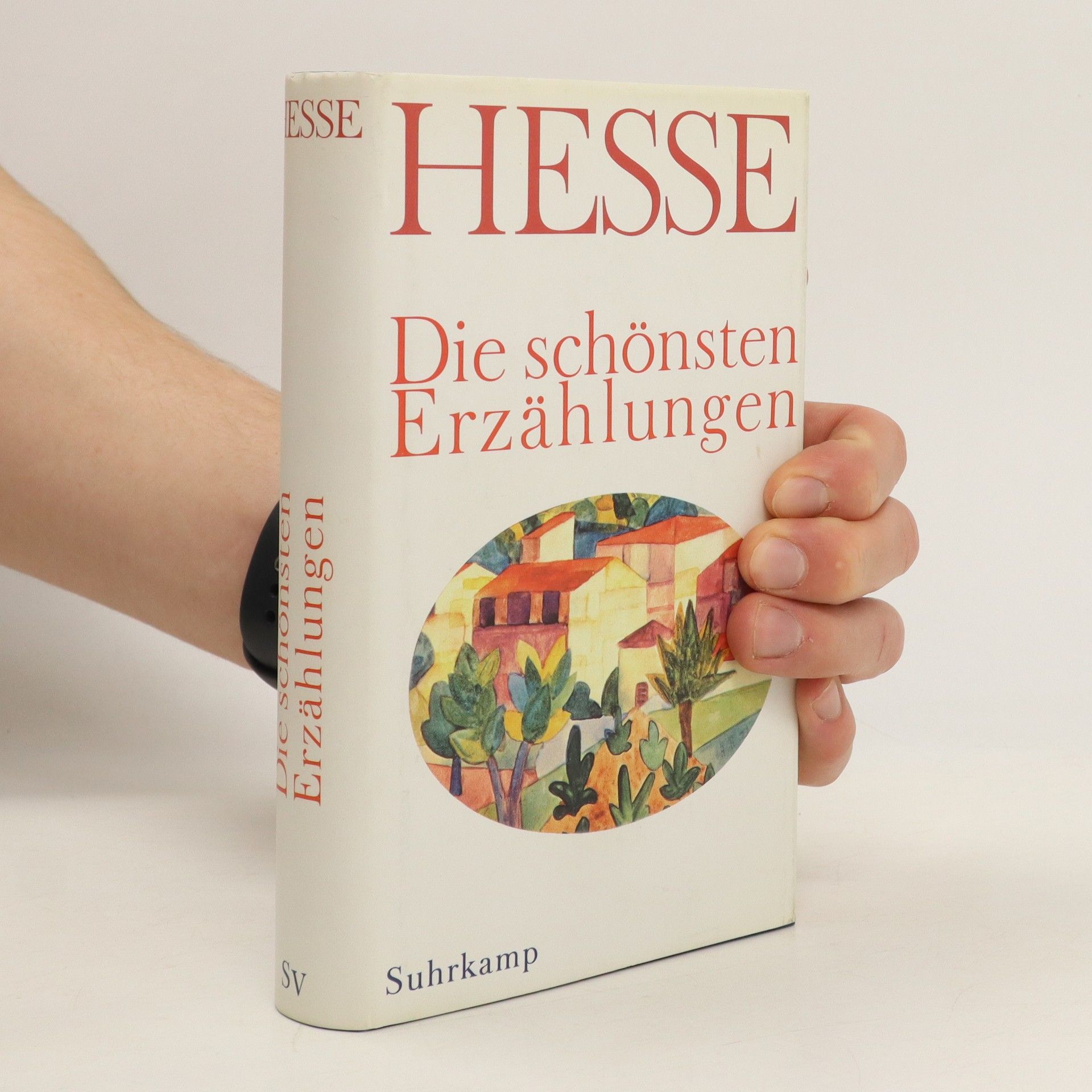 Hermann Hesse Die schönsten Erzählungen