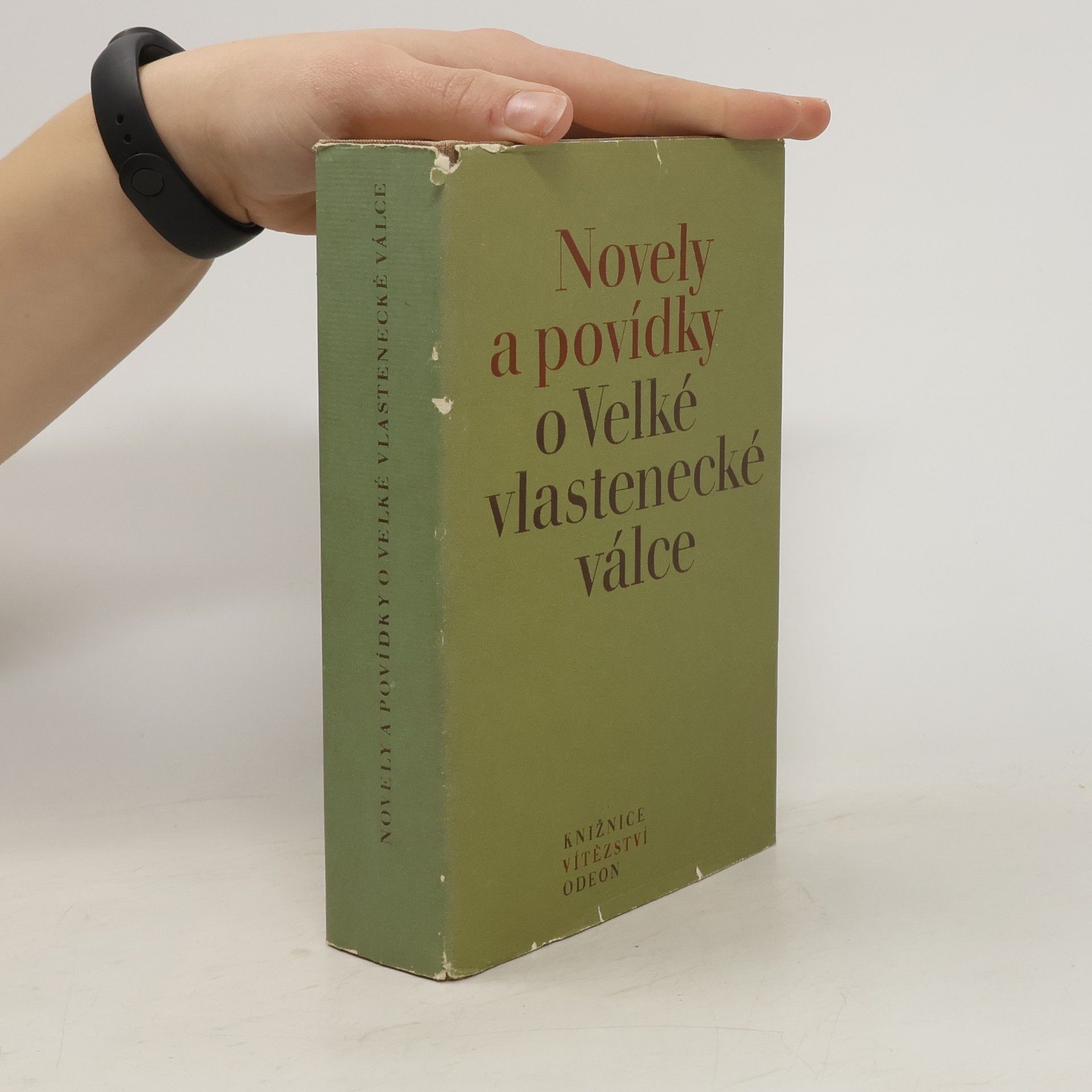 Collectif d'auteurs Novely a povídky o Velké vlastenecké válce
