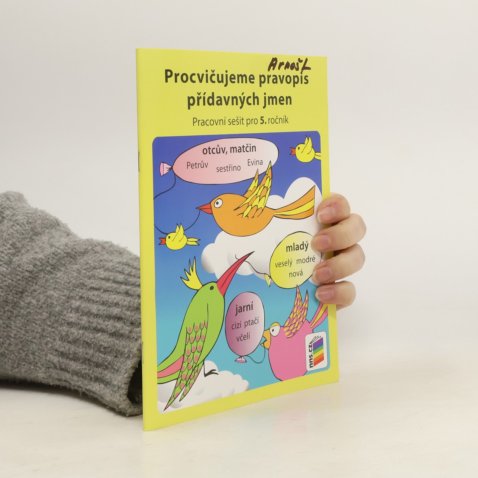 Lenka Bičanová Procvičujeme pravopis přídavných jmen