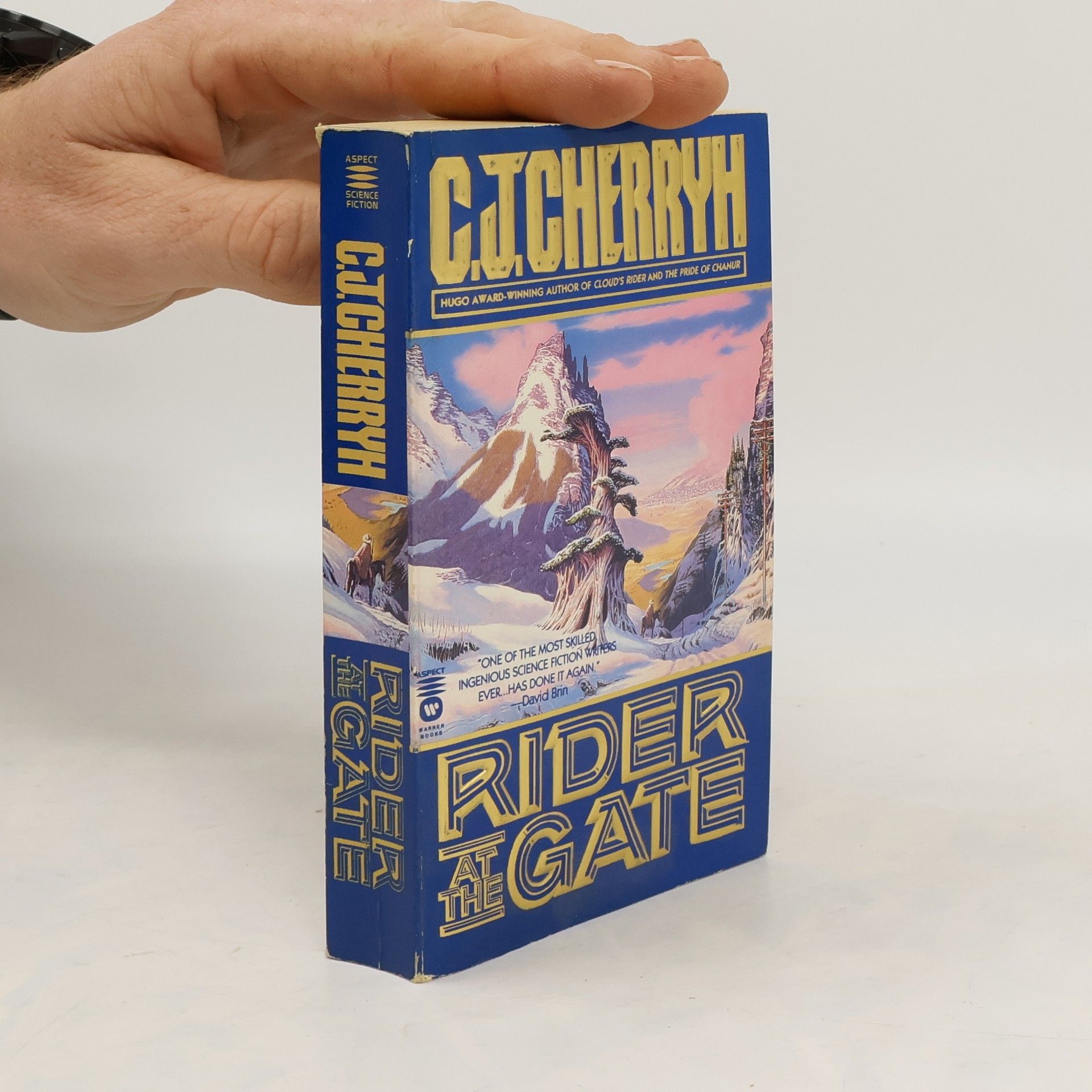 C. J. Cherryh Rider at the Gate