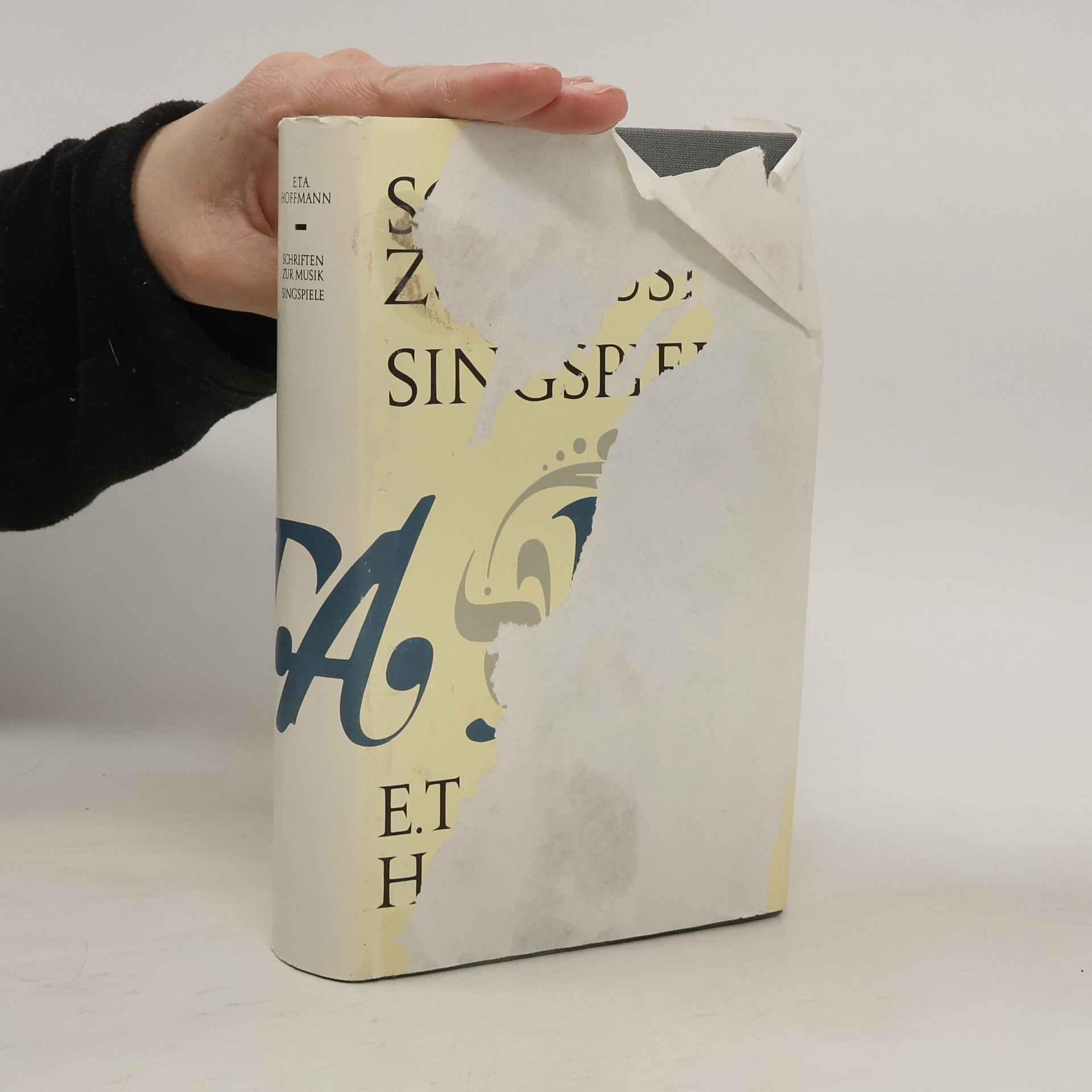 Ernst T. A. Hoffmann Schriften zur Musik. Singspiele