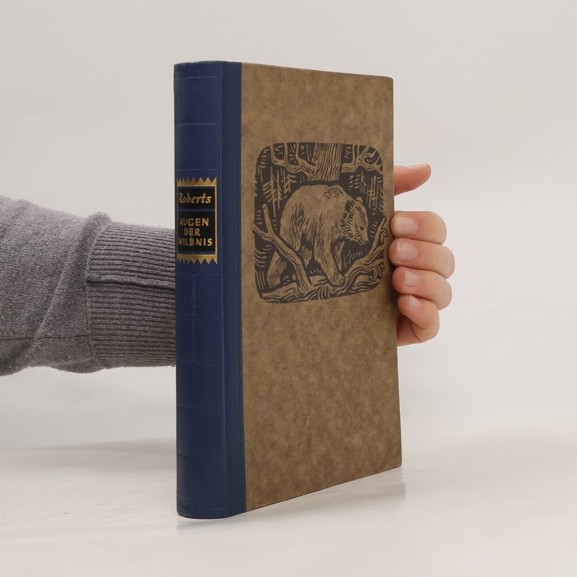 Roberts Charles G. D. Augen der Wildnis