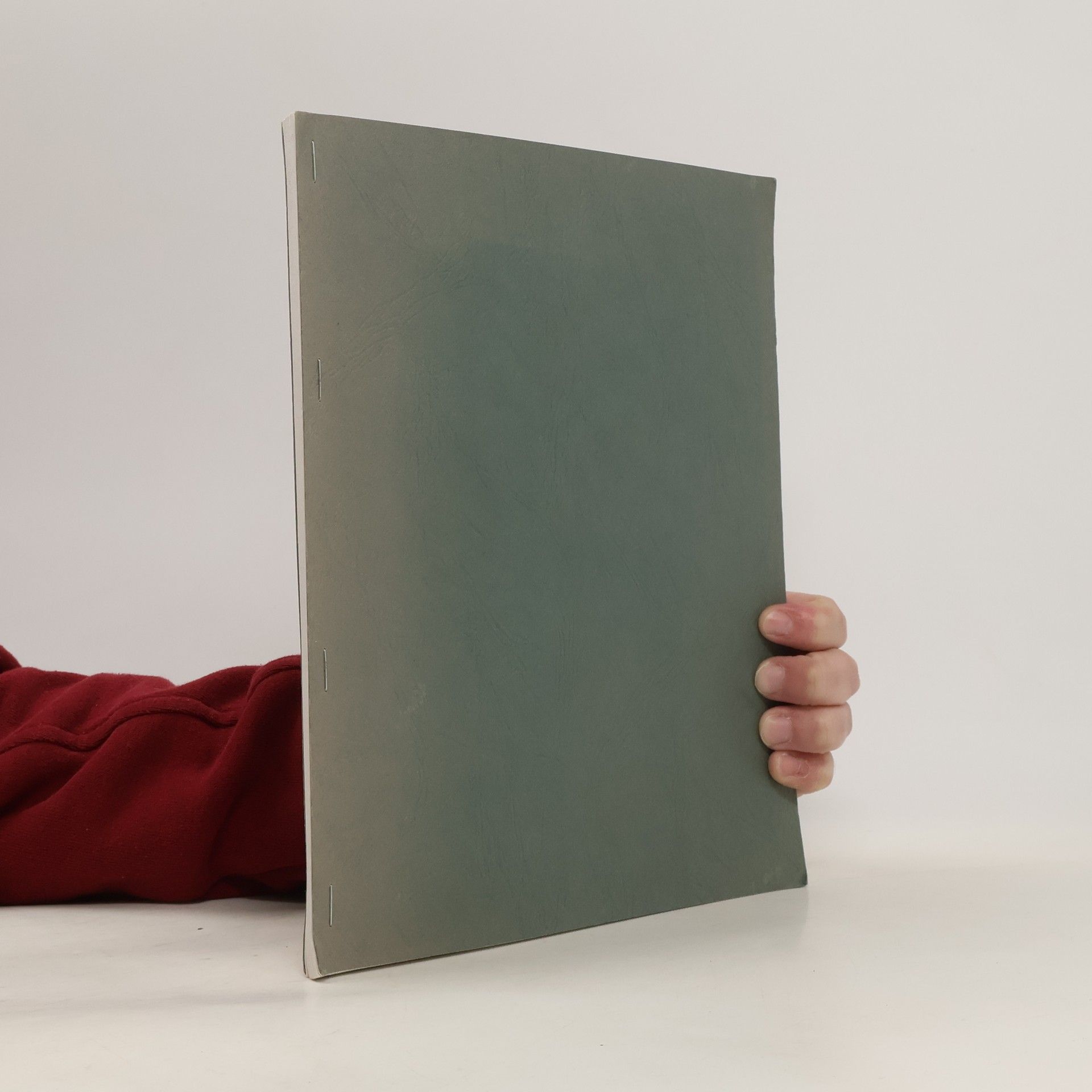 E. Zivier Fürstensein 1509-1909